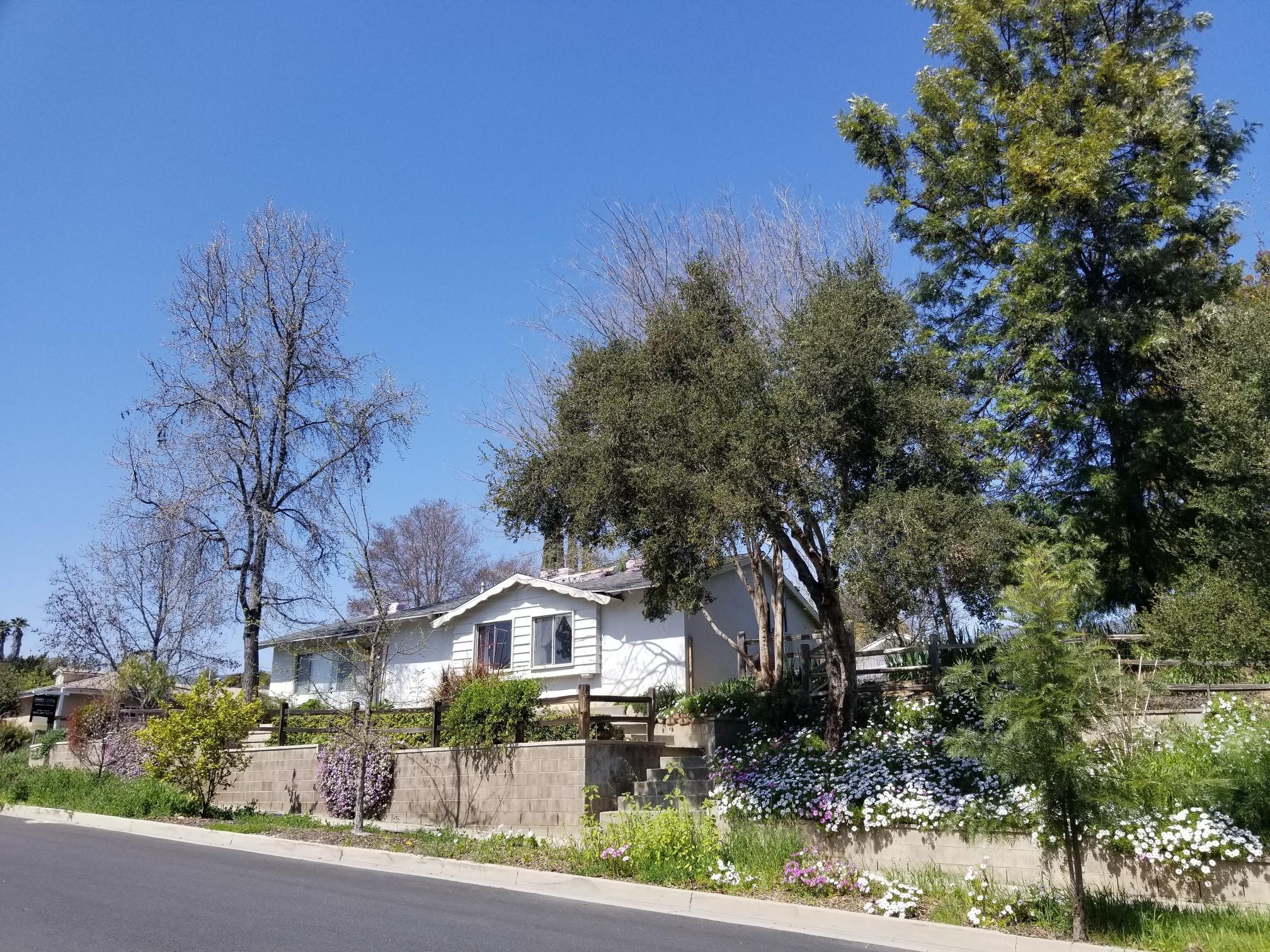 20190324_133735_resized
