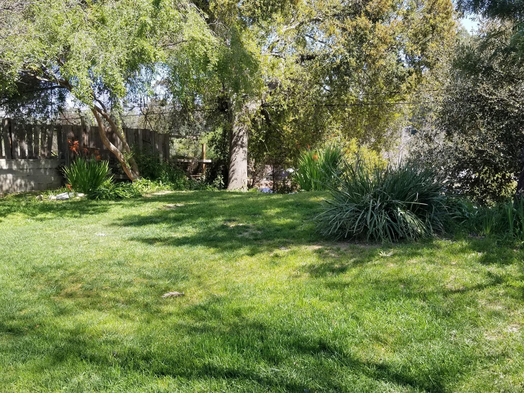 20190324_133816_resized