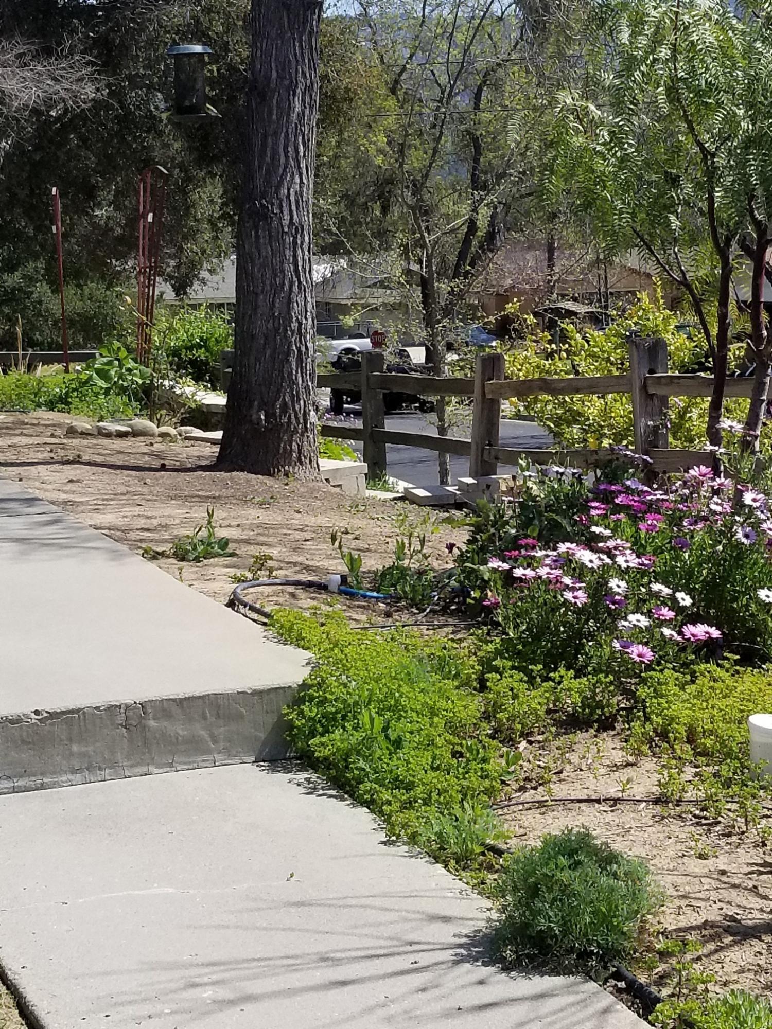 20190324_133552_resized