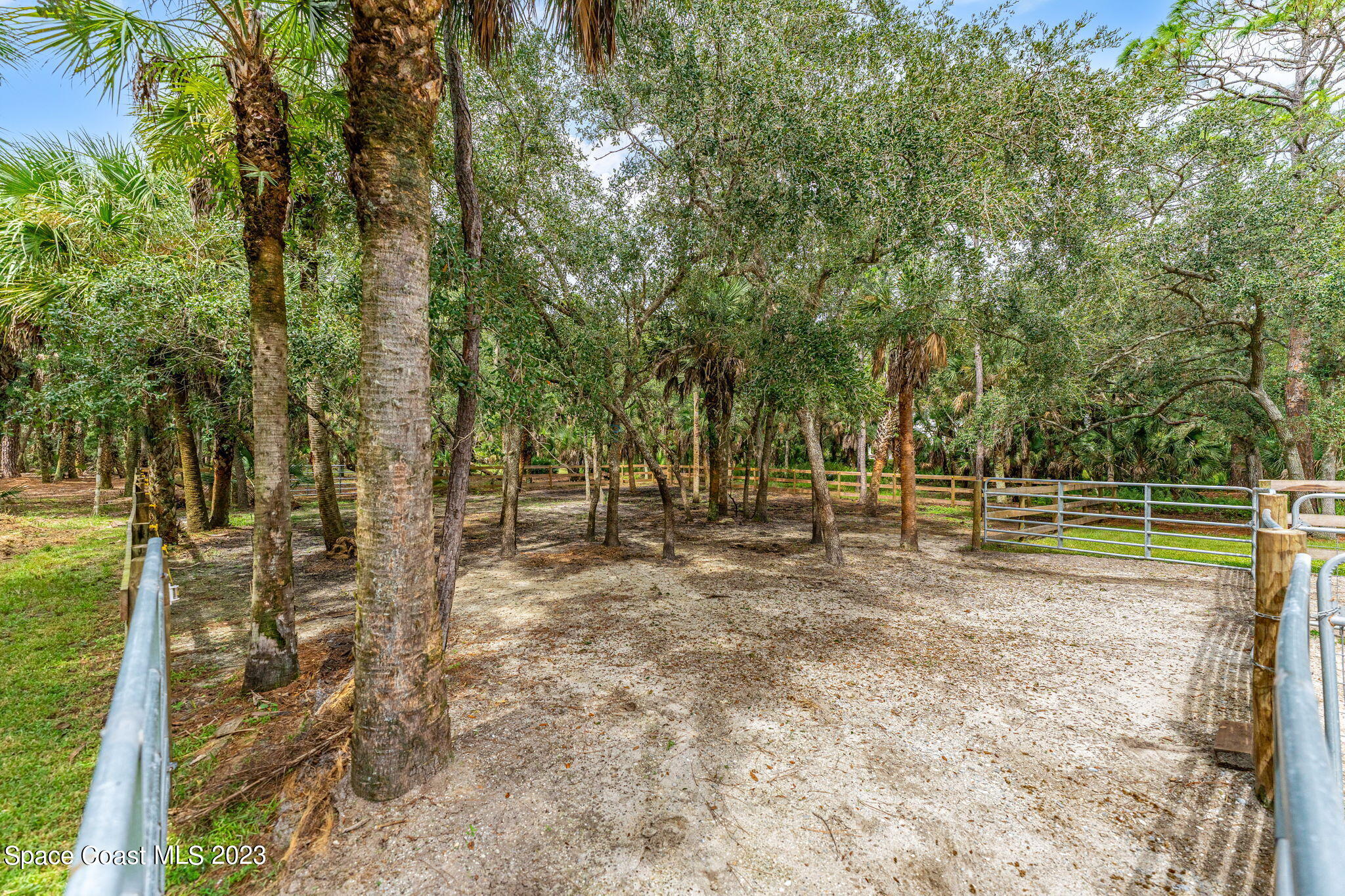 5595 Willoughby Drive Melbourne, FL 32934 - Photo 31 of 40 a view of a park with large trees