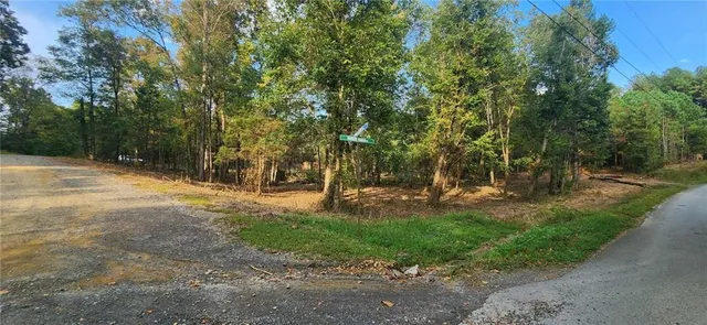 a view of a tree in a yard