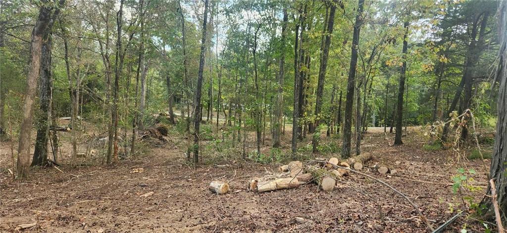 252 Beatrice Court Ranger, GA 30734 - Photo 3 of 11 a backyard of a house with lots of green space