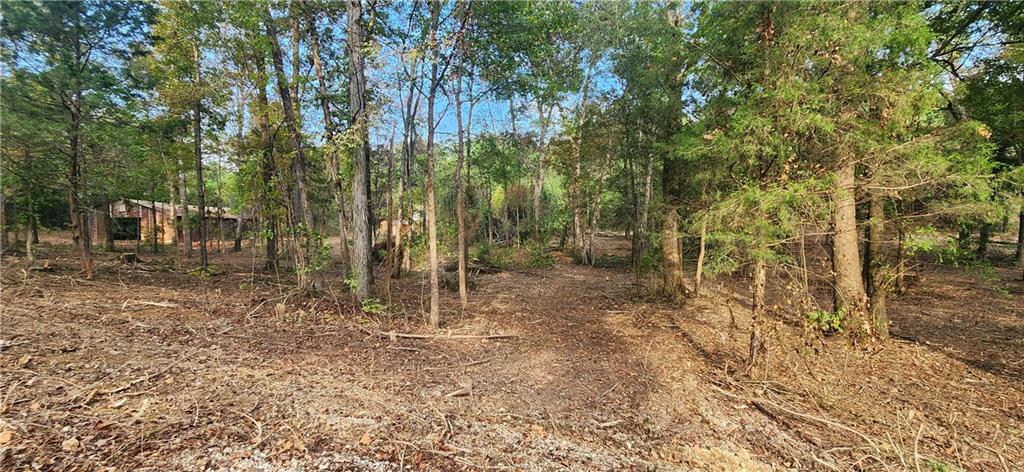252 Beatrice Court Ranger, GA 30734 - Photo 10 of 11 a view of a forest with trees in the background