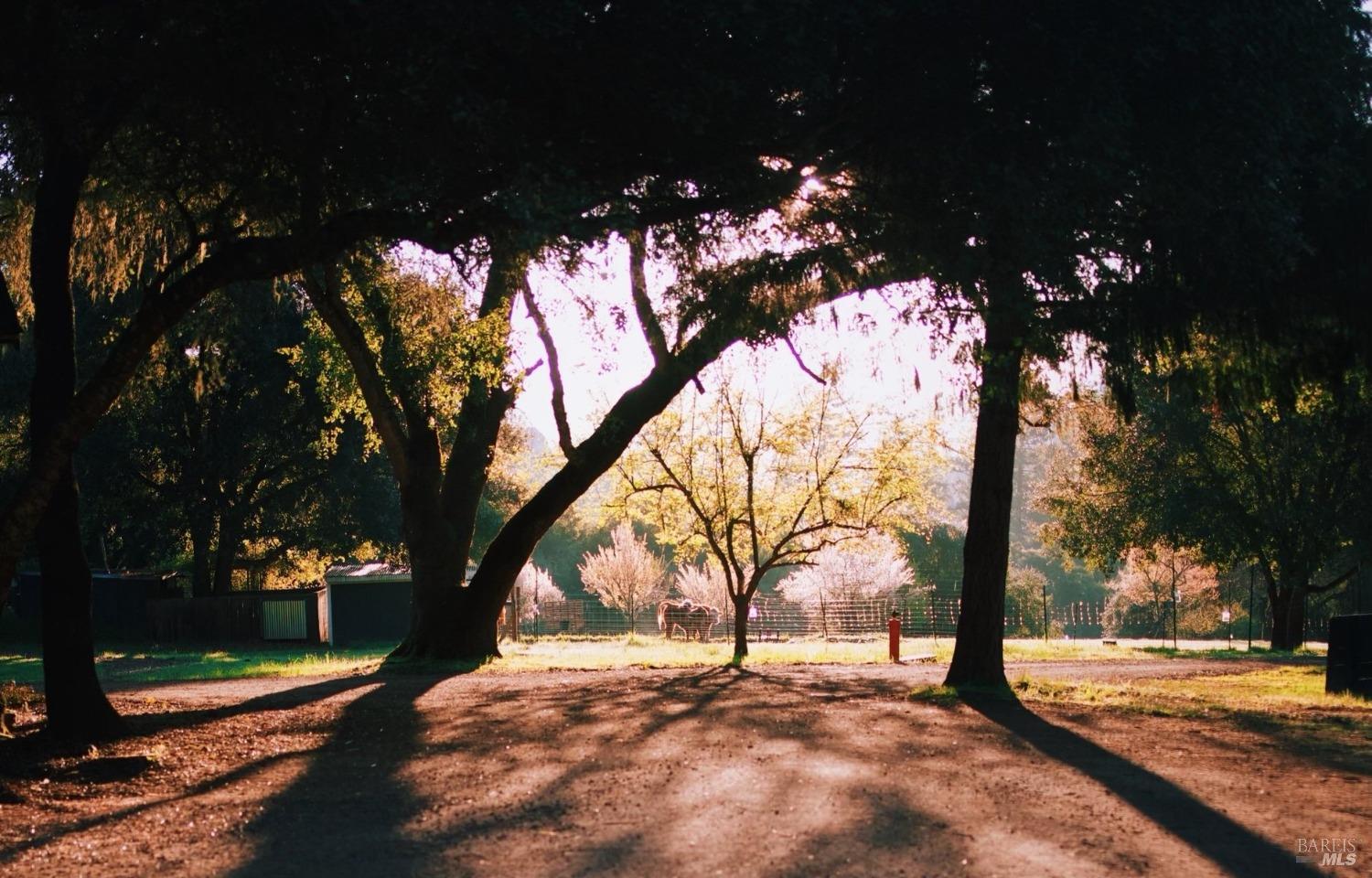 18501 Van Zandt Resort Road Philo, CA 95466 - Photo 92 of 98