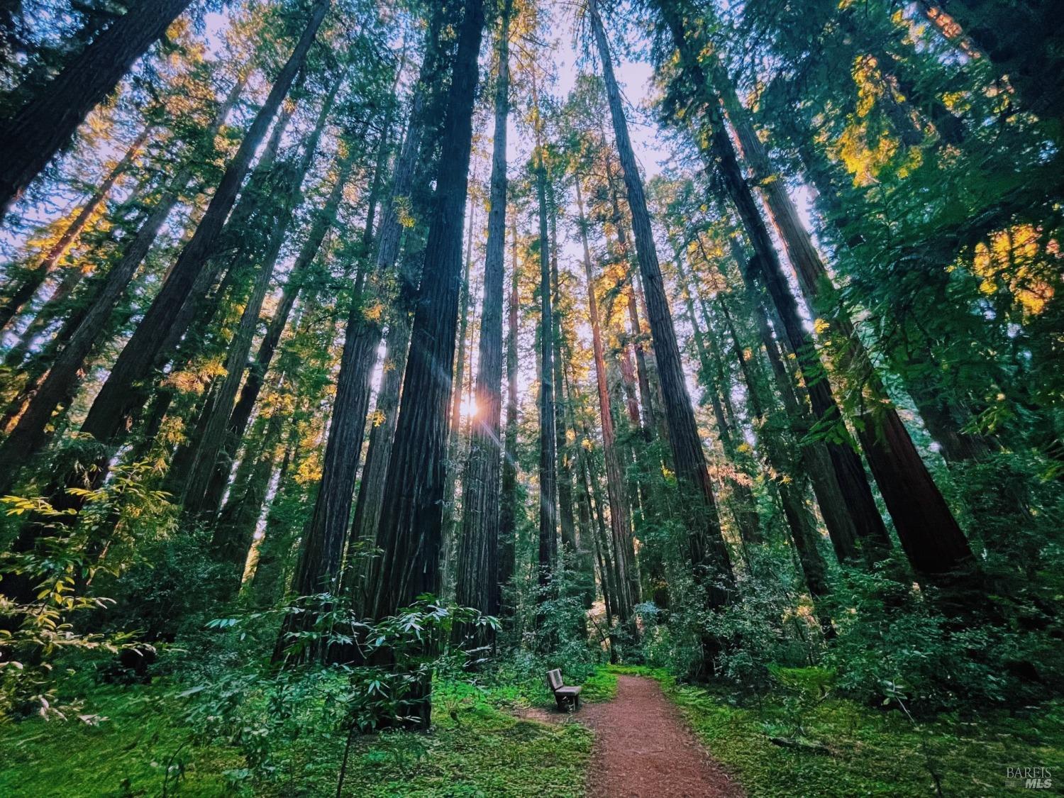 18501 Van Zandt Resort Road Philo, CA 95466 - Photo 97 of 98