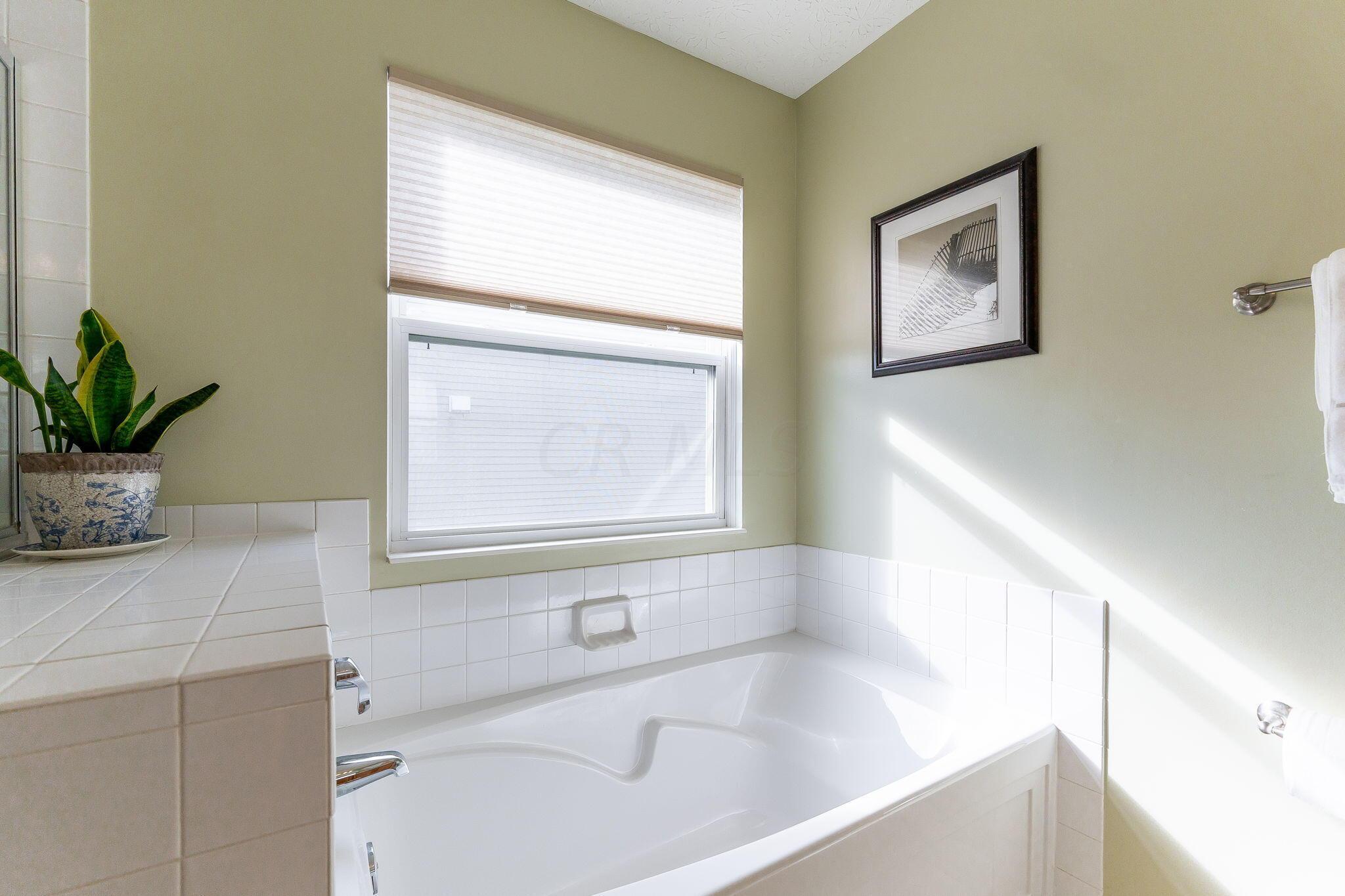7995 Rodebaugh Road Reynoldsburg, OH 43068 - Photo 26 of 67 Soaking tub