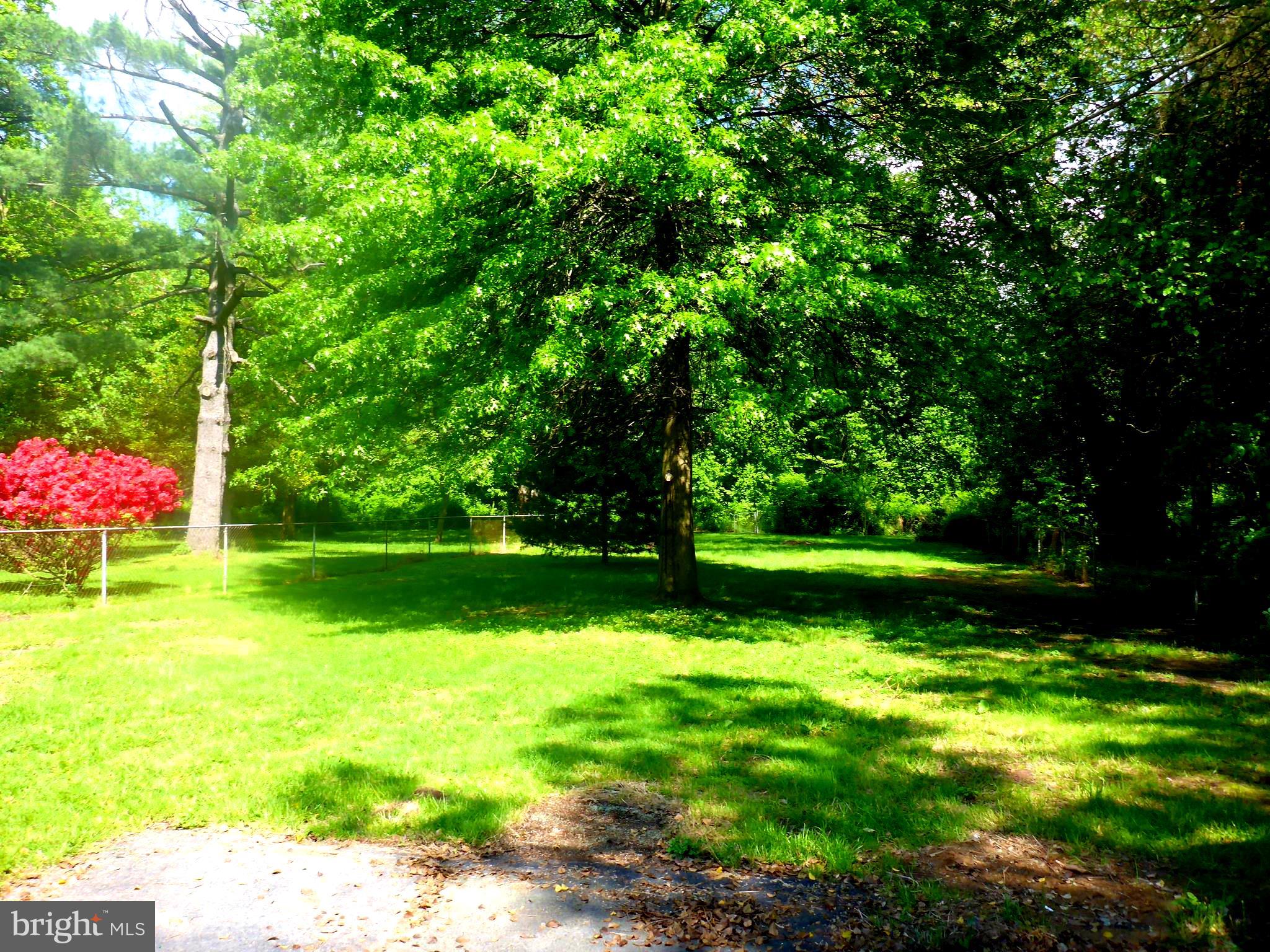 940 Frenchtown Road Perryville, MD 21903 - Photo 5 of 42 Great Yard to play or garden.