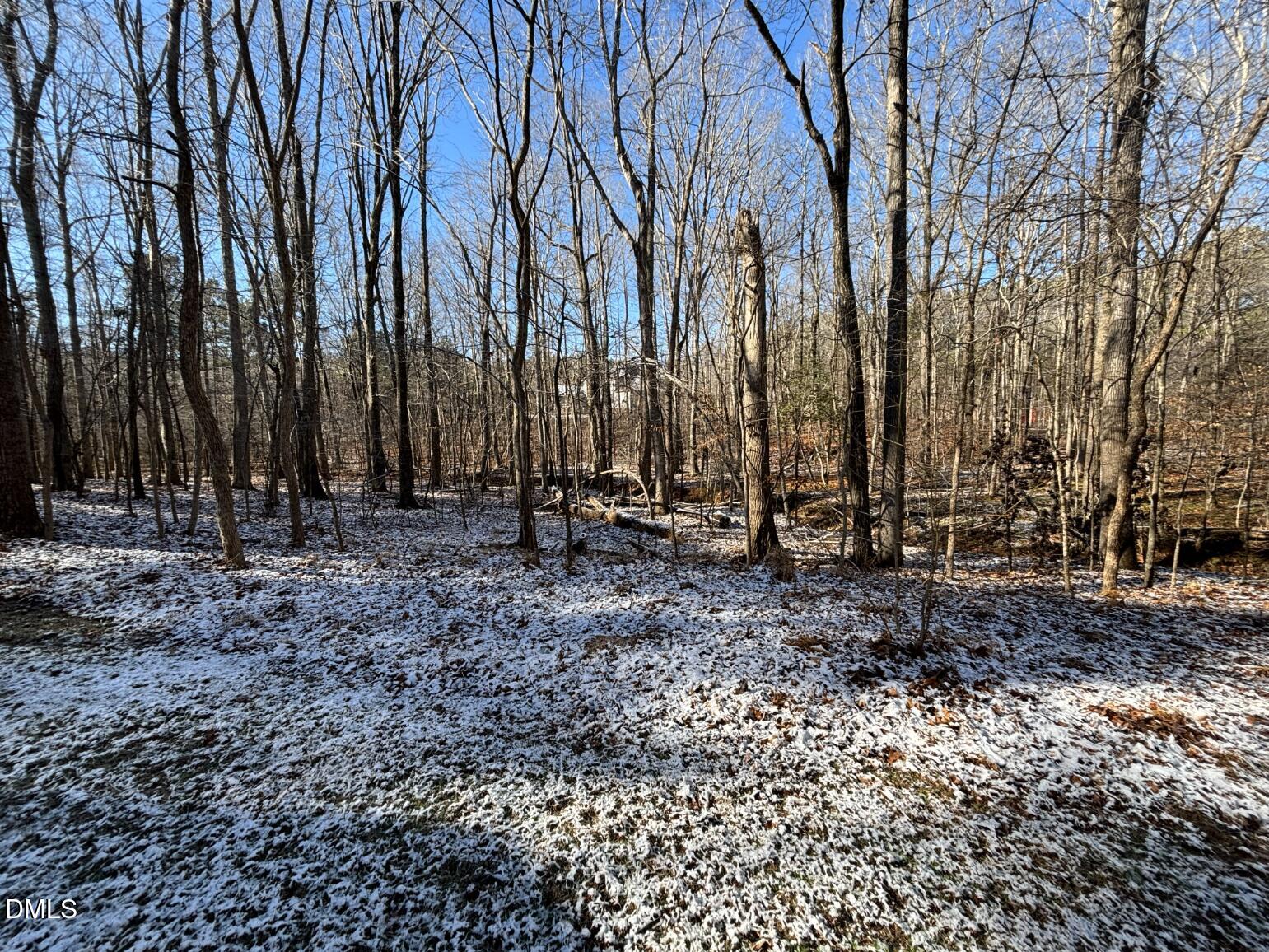 6229 Guess Road Durham, NC 27712 - Photo 43 of 44 download (43)