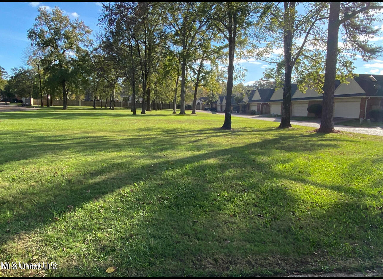 2 Autumn Cove Jackson, MS 39206 - Photo 12 of 14 Green Area
