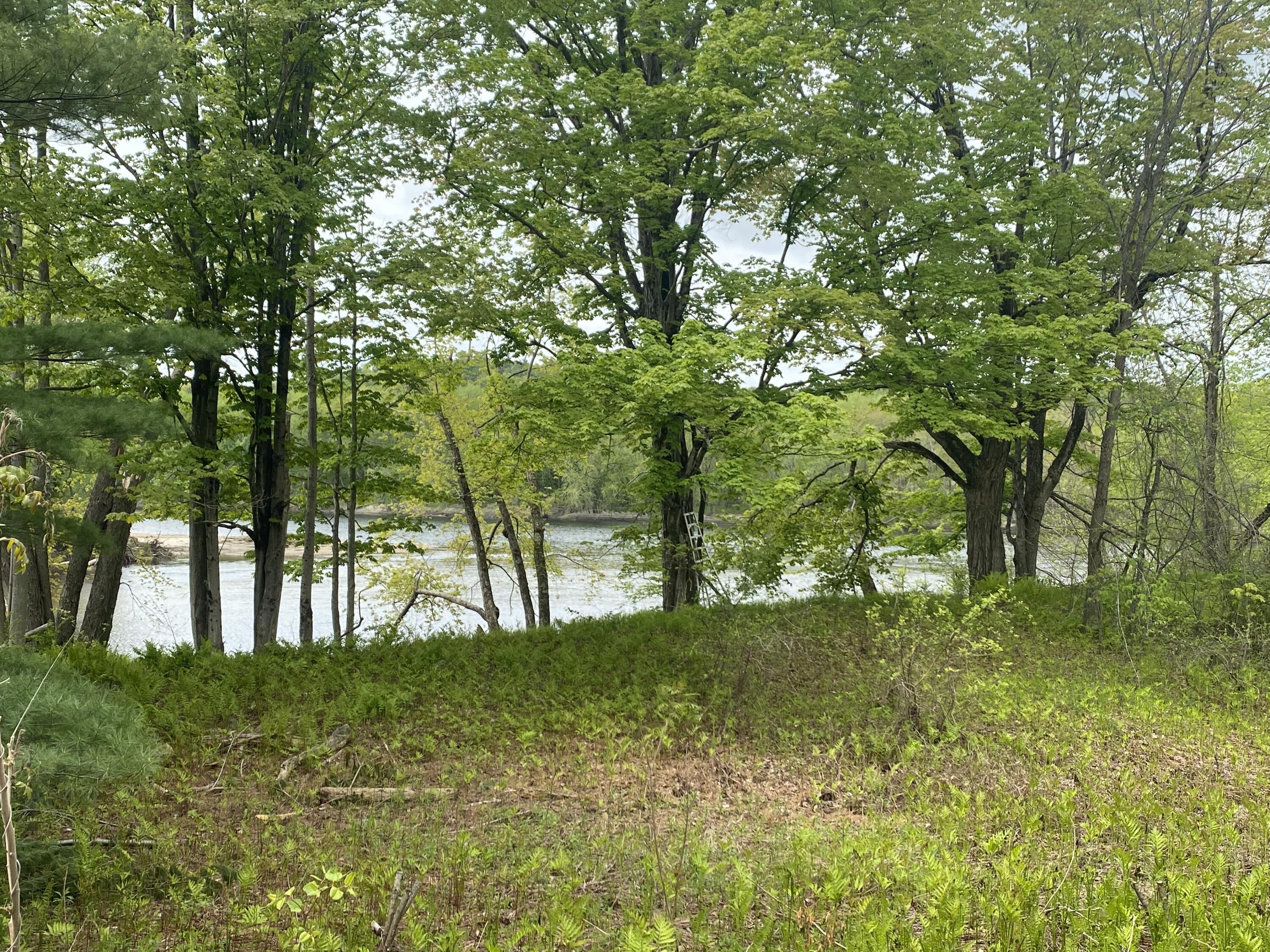 174 Foundry Road Livermore Falls, ME 04254 - Photo 5 of 28 803AD058-9B9A-49A6-848D-D7B16FD9017B
