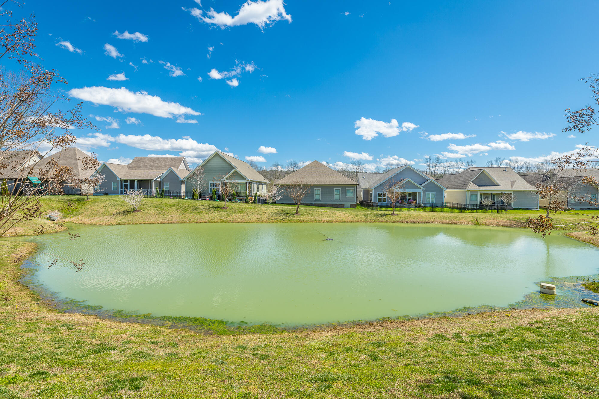 3345 Prairie Range Lane Apison, TN 37302 - Photo 129 of 142 3345 Prairie Range Ln. HD-145