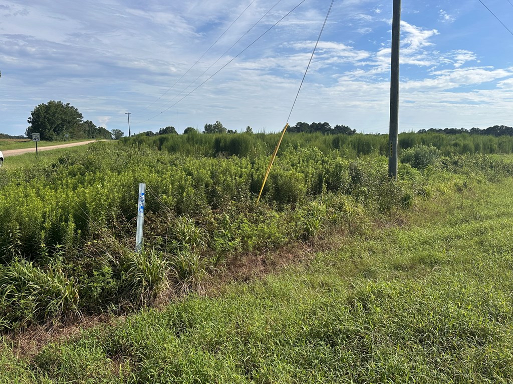 3-acres 3-acres Bill Yance Road Dothan, AL 36301 - Photo 3 of 7