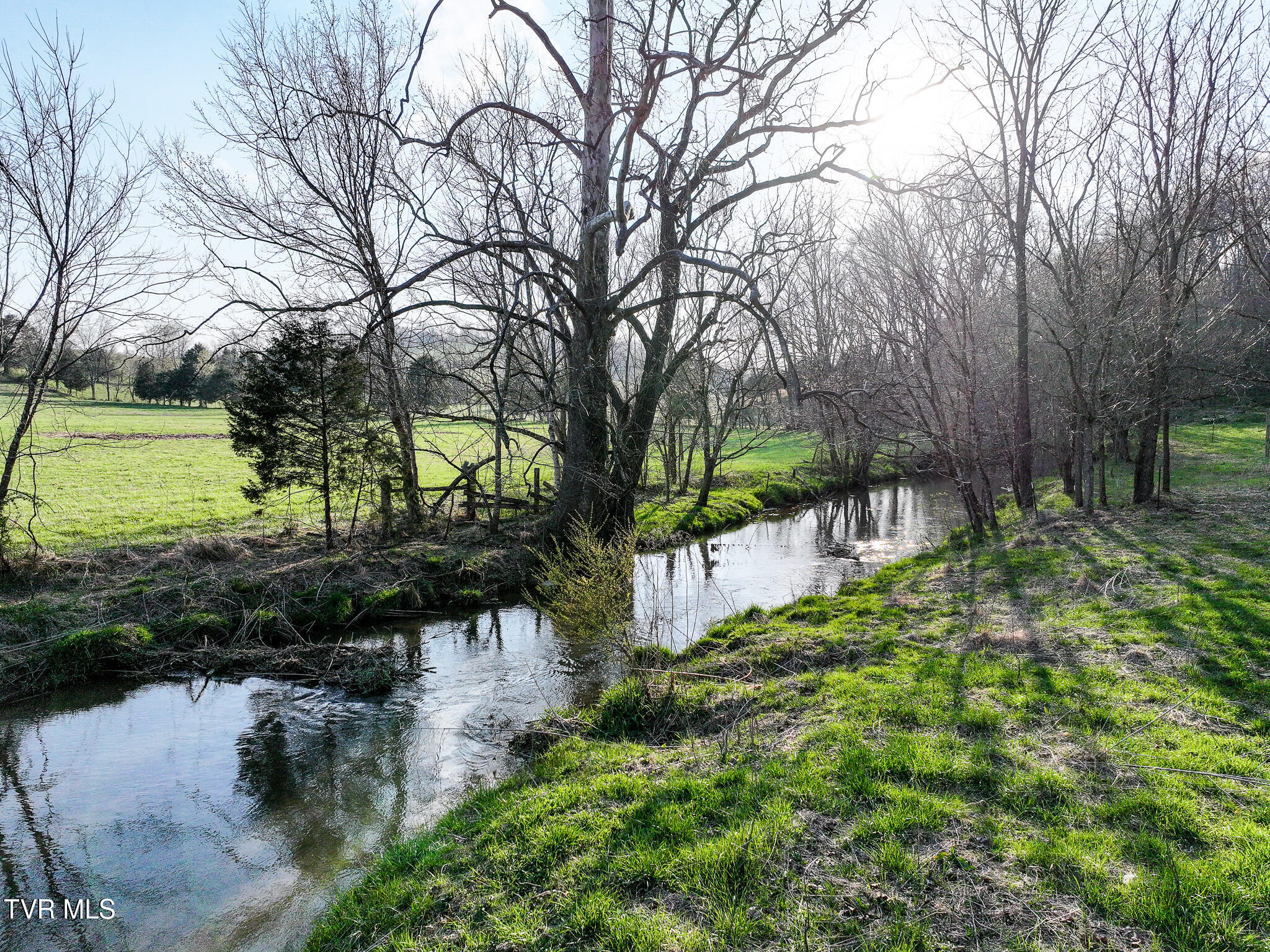 465 Clear Creek Road, Unit 1 Chuckey, TN 37641 - Photo 21 of 44 DJI_20260326170620_0311_D