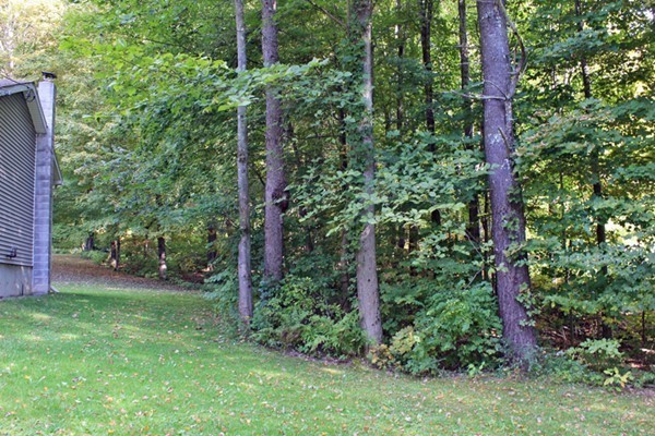 447 Millers Falls Road Northfield, MA 01360 - Photo 4 of 30 Gallery Image 4