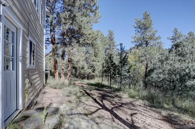 a view of a pathway with a yard