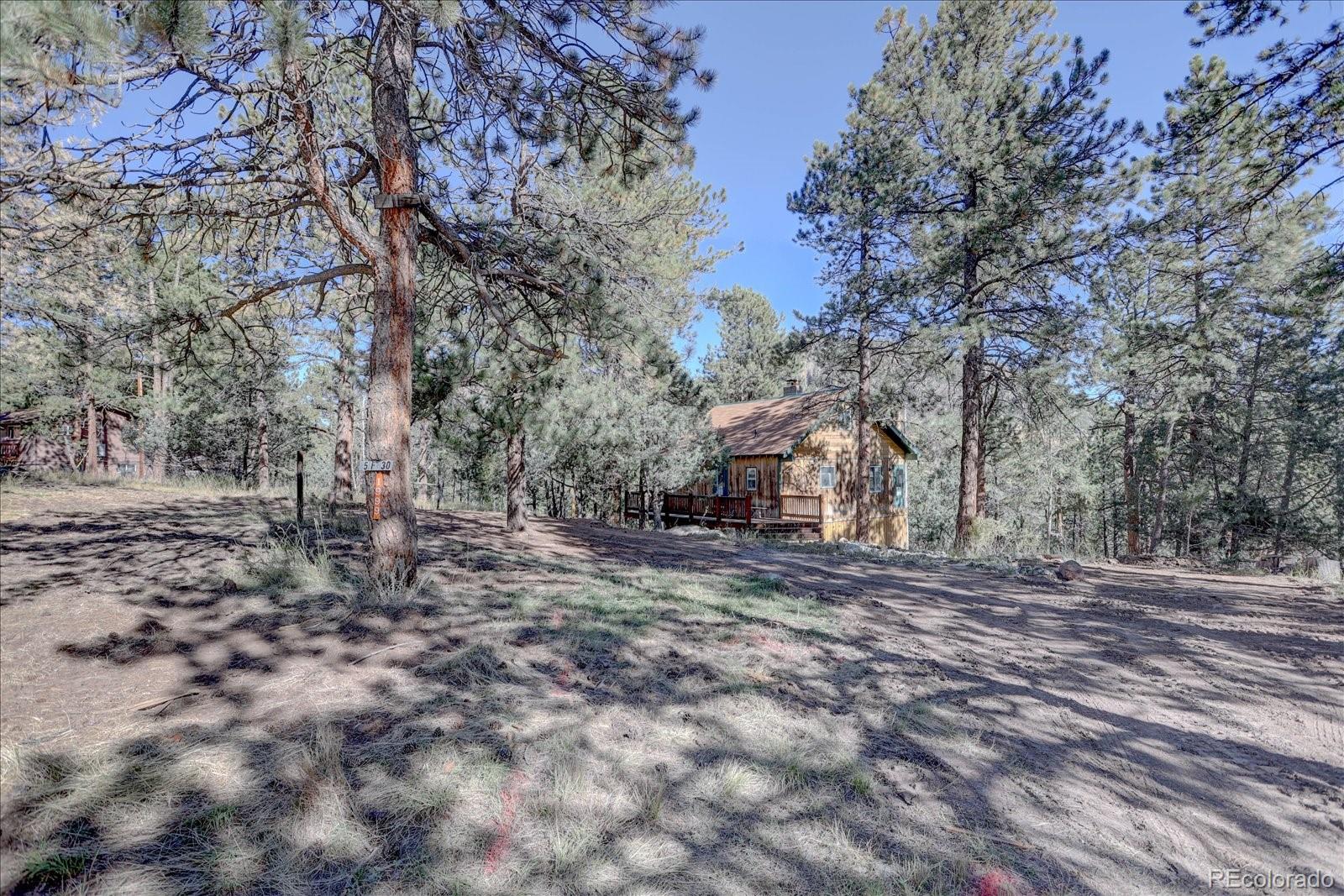 1999 Roland Drive Bailey, CO 80421 - Photo 9 of 33 a view of a yard with a tree