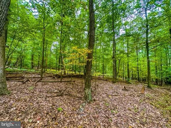 Rum Springs Road Myersville, MD 21773 - Photo 5 of 8