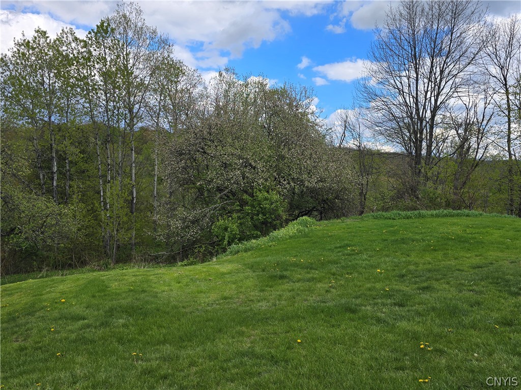 304 Lynch Road Fairfield, NY 13365 - Photo 4 of 23