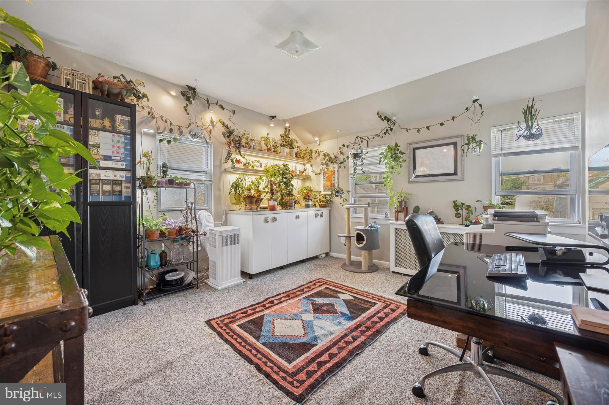 213 Greenfield Avenue Ardmore, PA 19003 - Photo 13 of 15 a living room with furniture and a potted plant