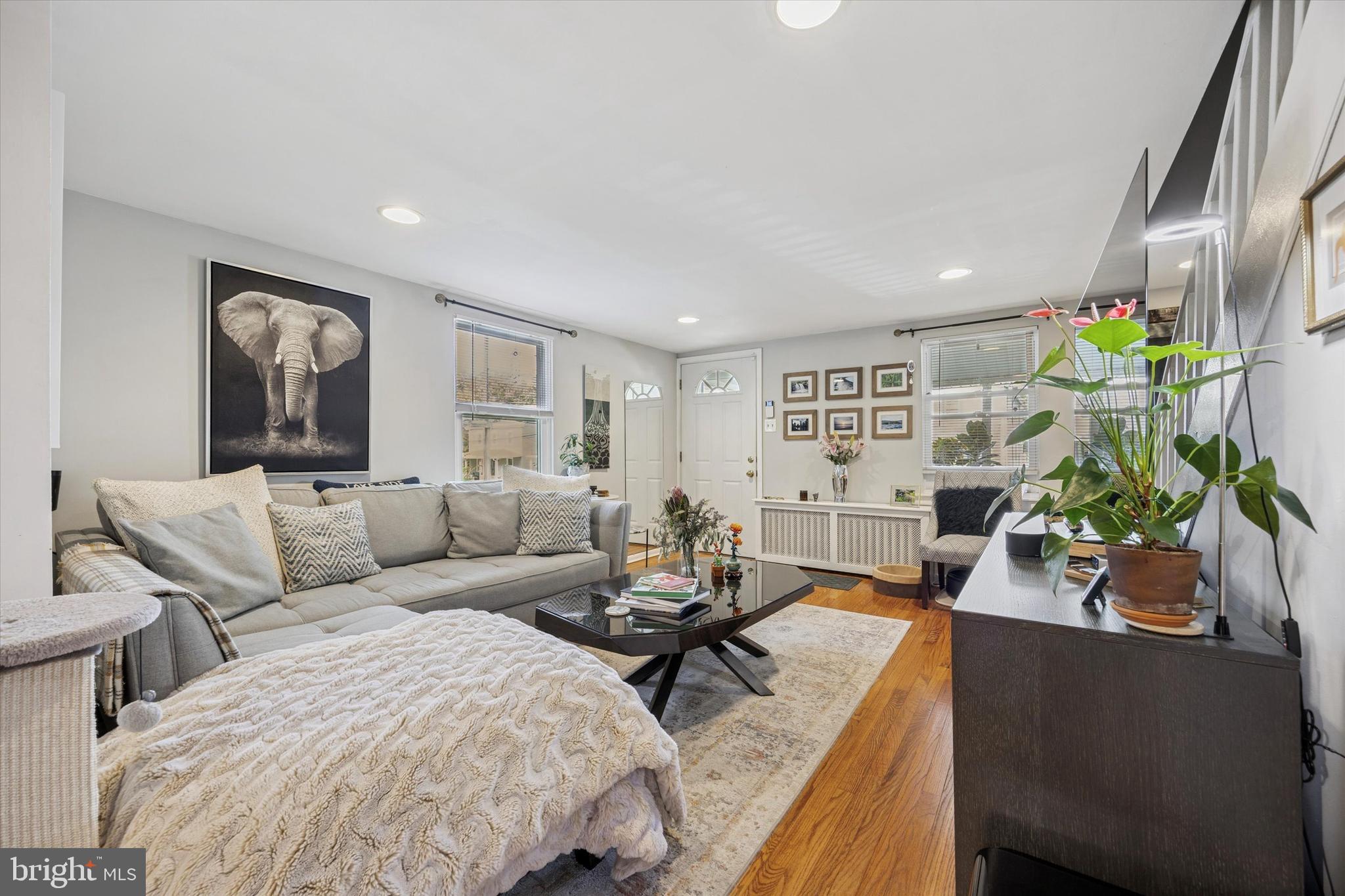 213 Greenfield Avenue Ardmore, PA 19003 - Photo 4 of 15 a living room with furniture potted plant and window