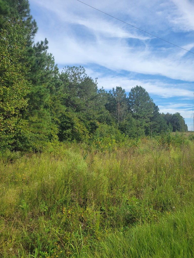 8045 St Johns Road Rembert, SC 29128 - Photo 8 of 9