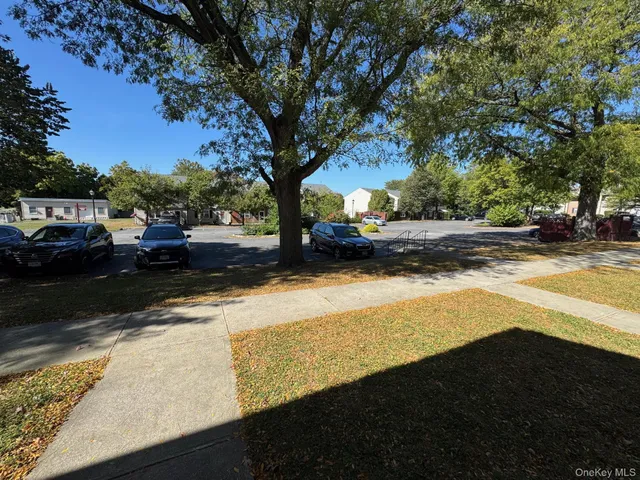 a view of a yard with a tree