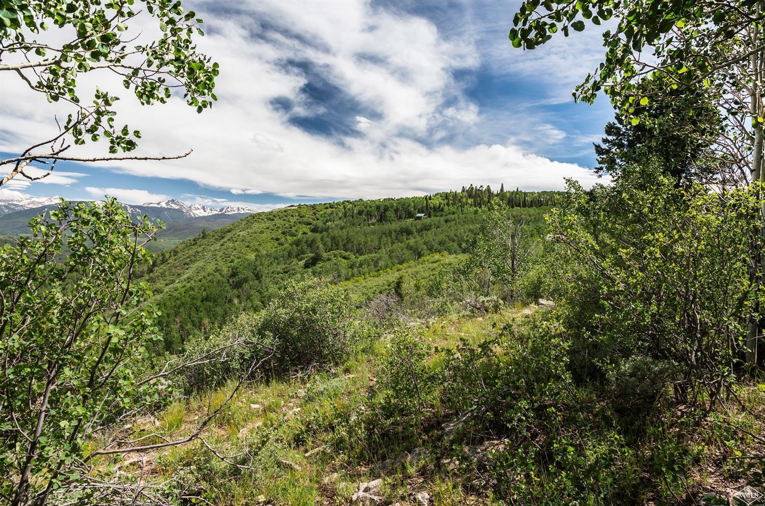 3990 Bellyache Ridge Road Wolcott, CO 81655 - Photo 7 of 17 a view of a garden with a flower