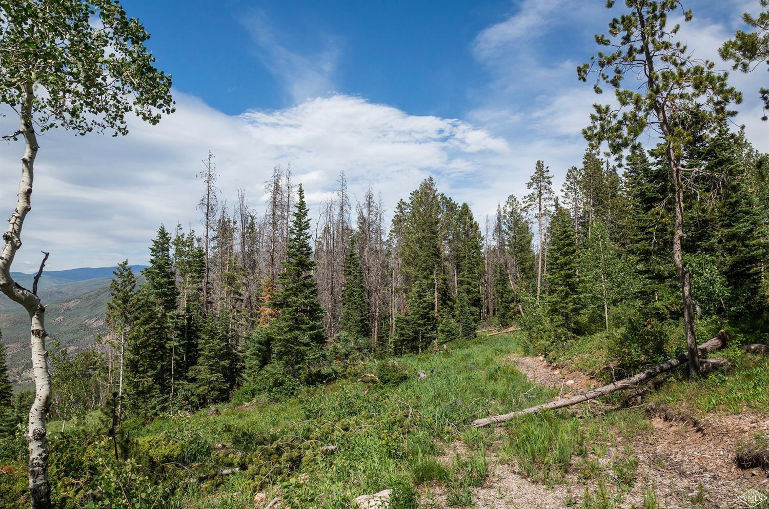 3990 Bellyache Ridge Road Wolcott, CO 81655 - Photo 9 of 17 a view of a city with lush green forest