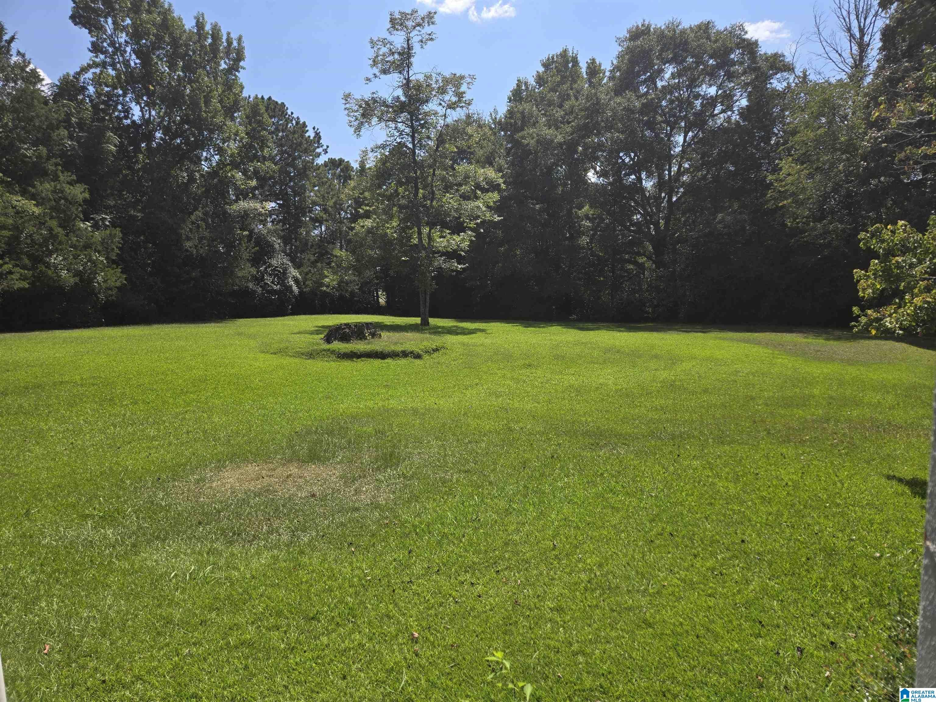 1740 Country Club Road Roanoke, AL 36274 - Photo 28 of 29 Gallery Image 28