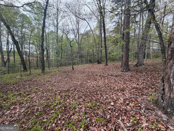 $589,750 | 0 North County Line Road, Alto, GA 30510