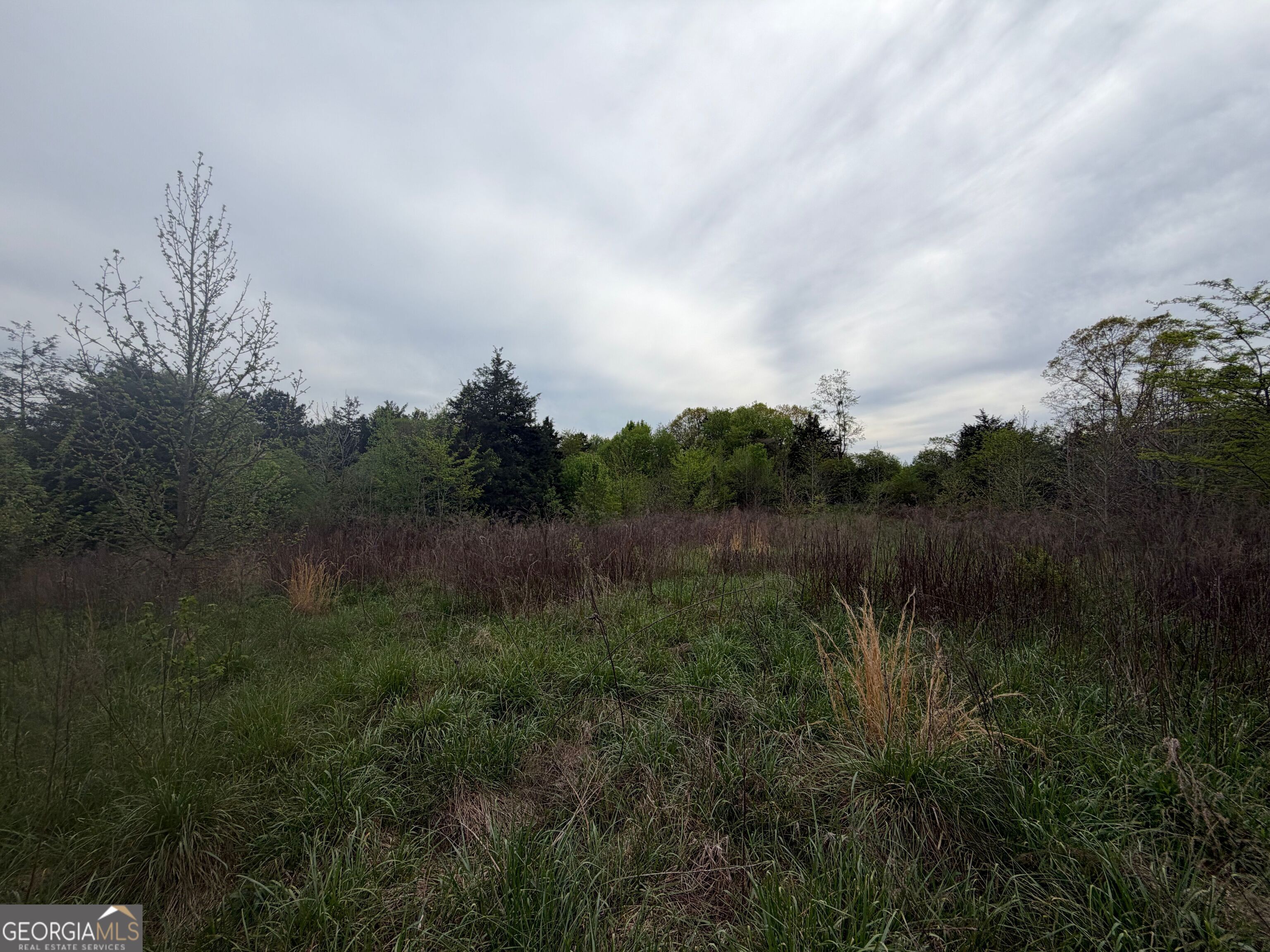 0 North County Line Road Alto, GA 30510 - Photo 11 of 45