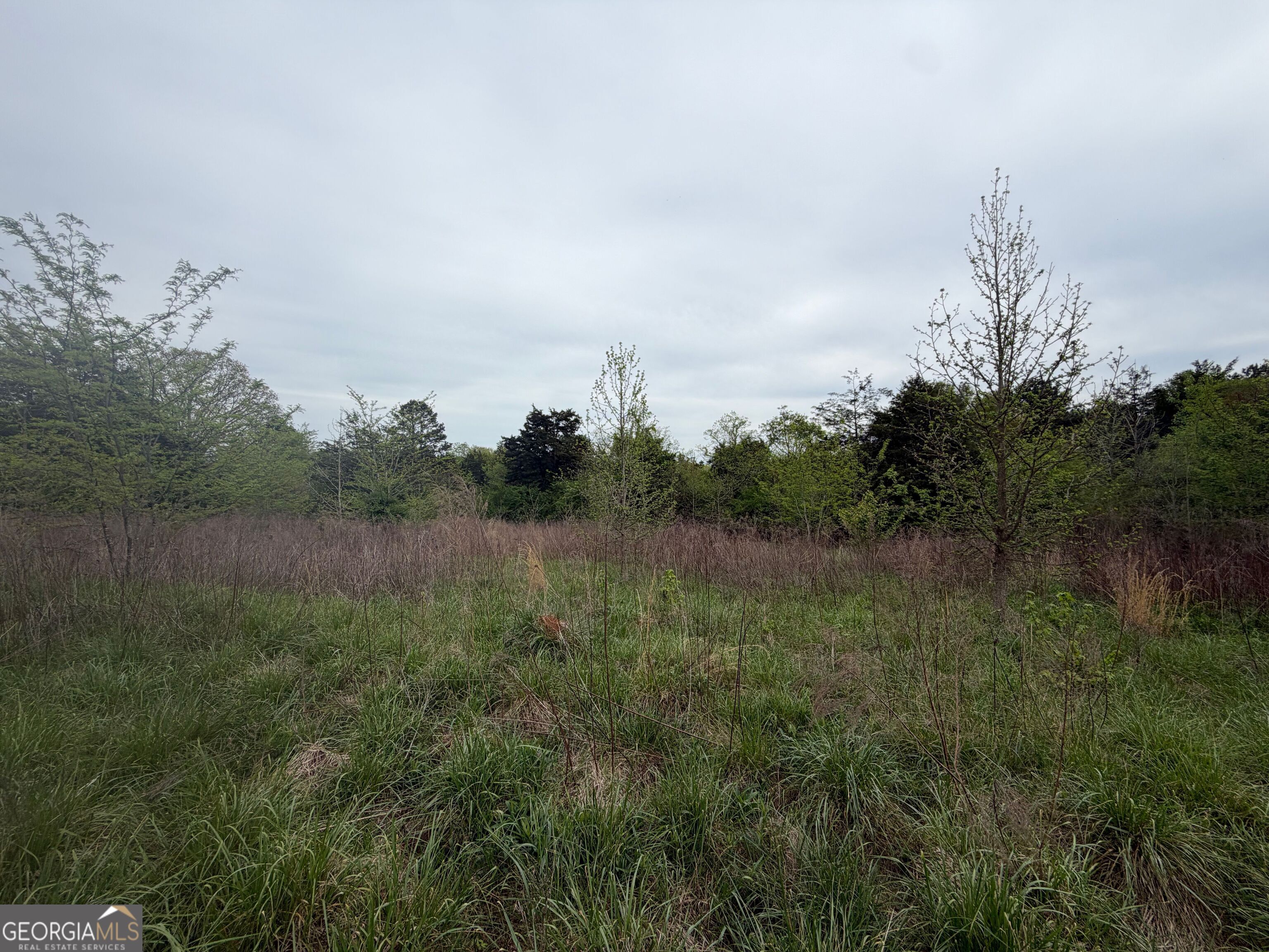 0 North County Line Road Alto, GA 30510 - Photo 12 of 45