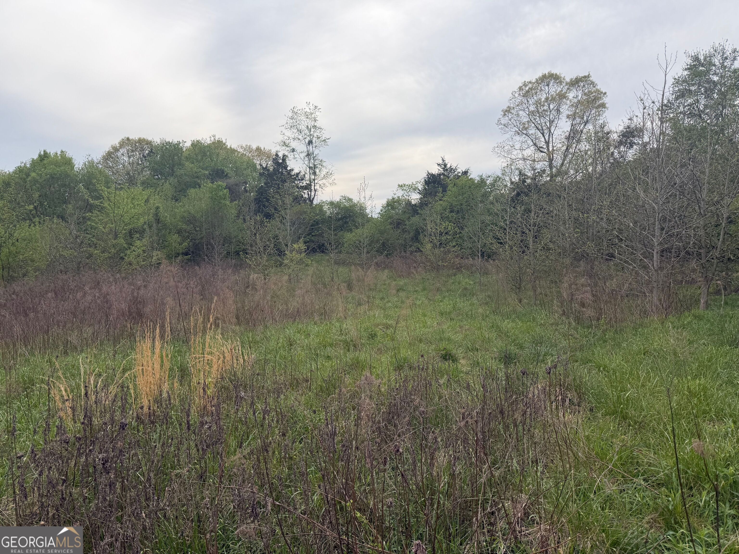 0 North County Line Road Alto, GA 30510 - Photo 13 of 45