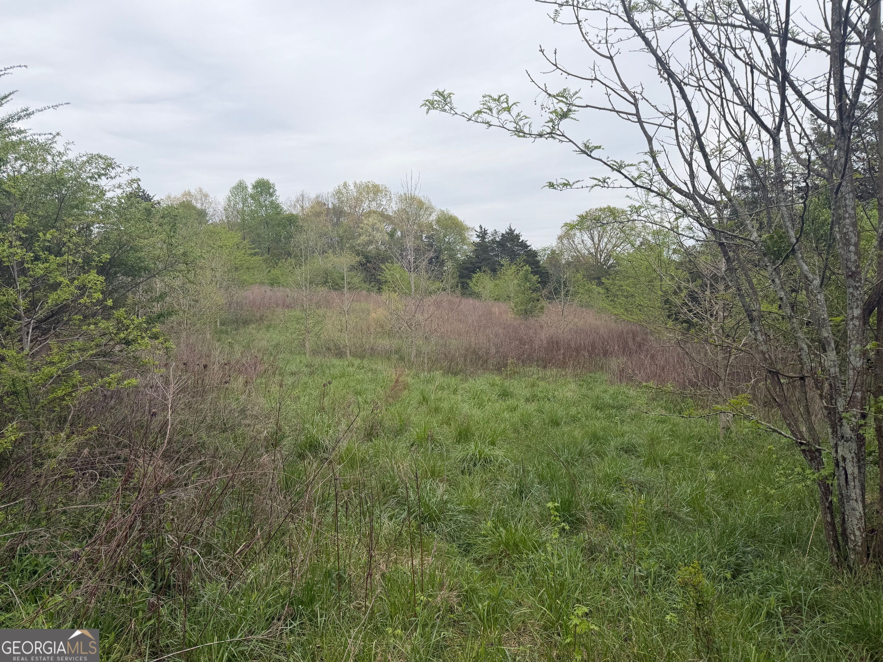 0 North County Line Road Alto, GA 30510 - Photo 14 of 45