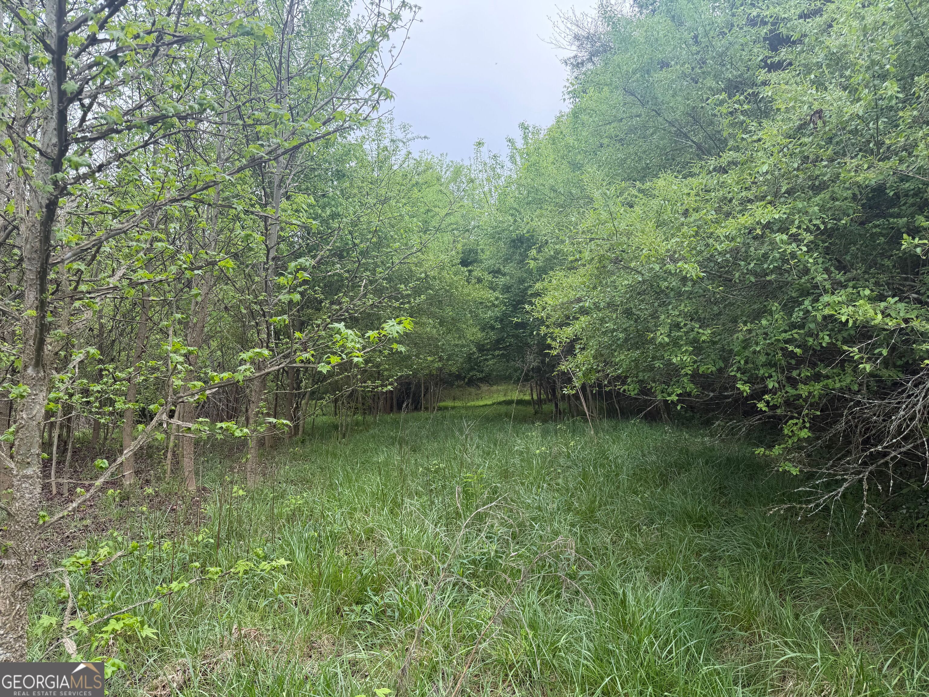 0 North County Line Road Alto, GA 30510 - Photo 15 of 45