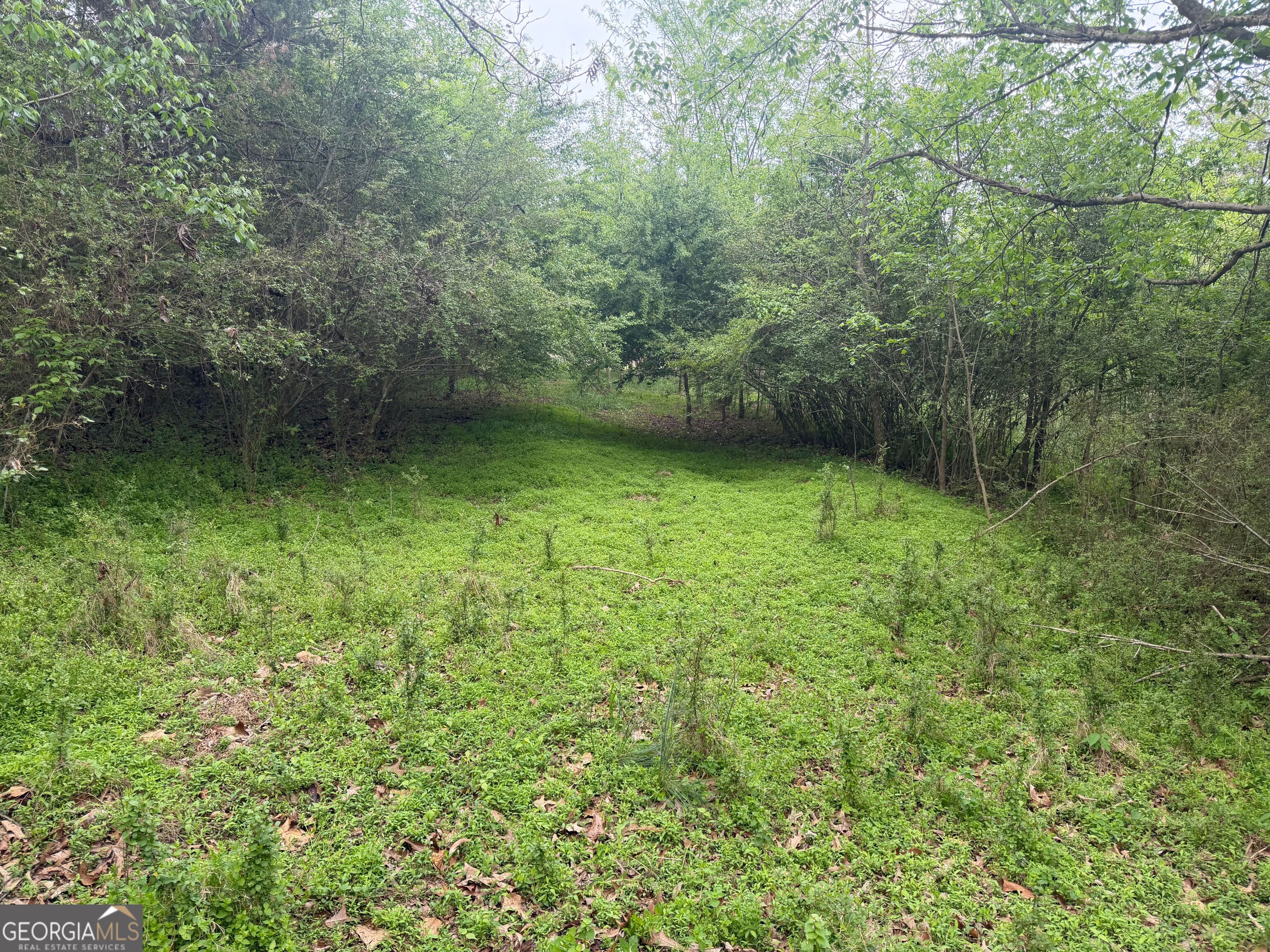 0 North County Line Road Alto, GA 30510 - Photo 16 of 45