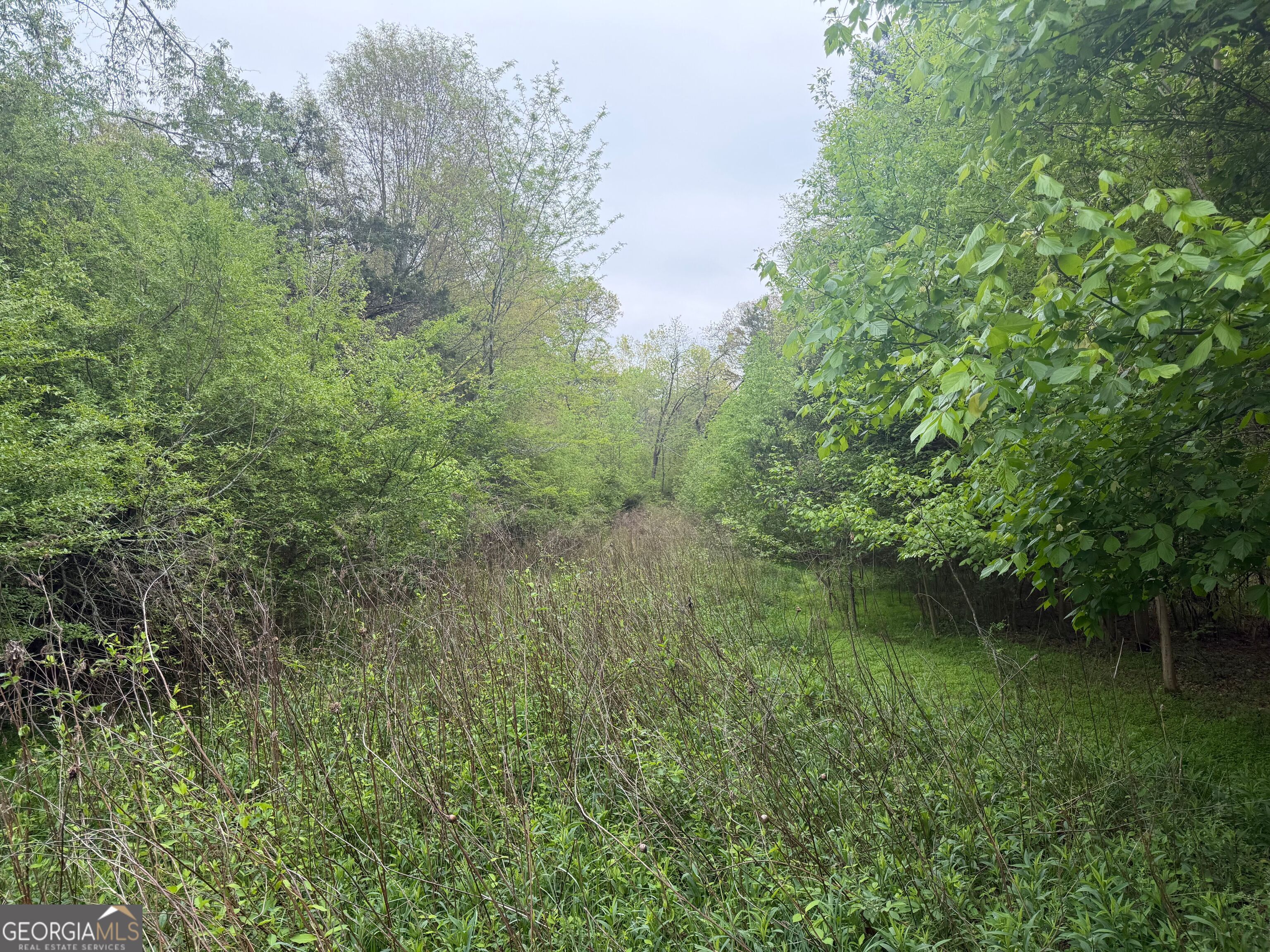 0 North County Line Road Alto, GA 30510 - Photo 17 of 45