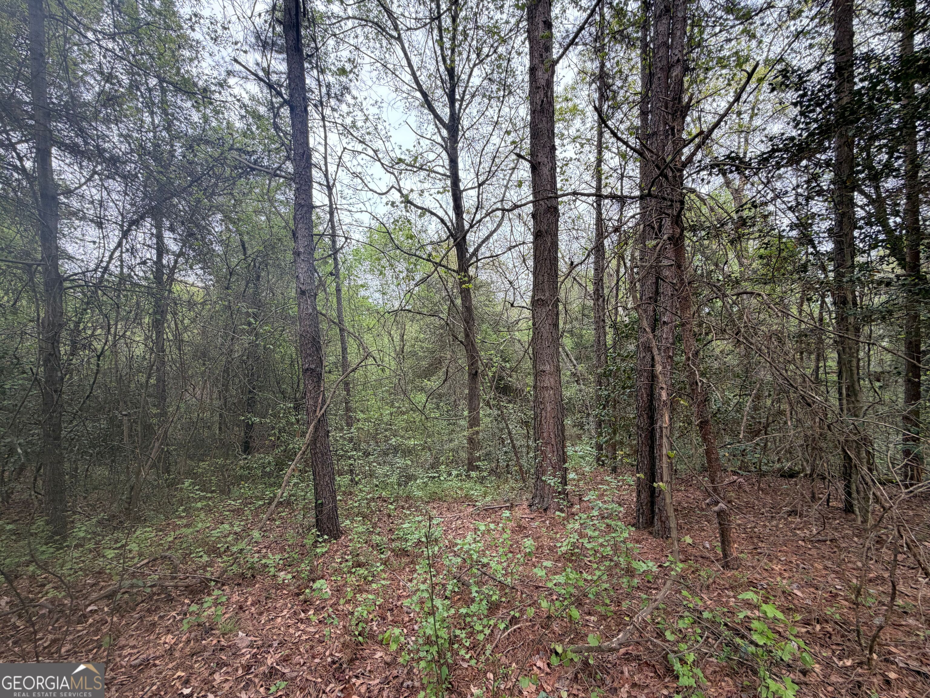 0 North County Line Road Alto, GA 30510 - Photo 18 of 45