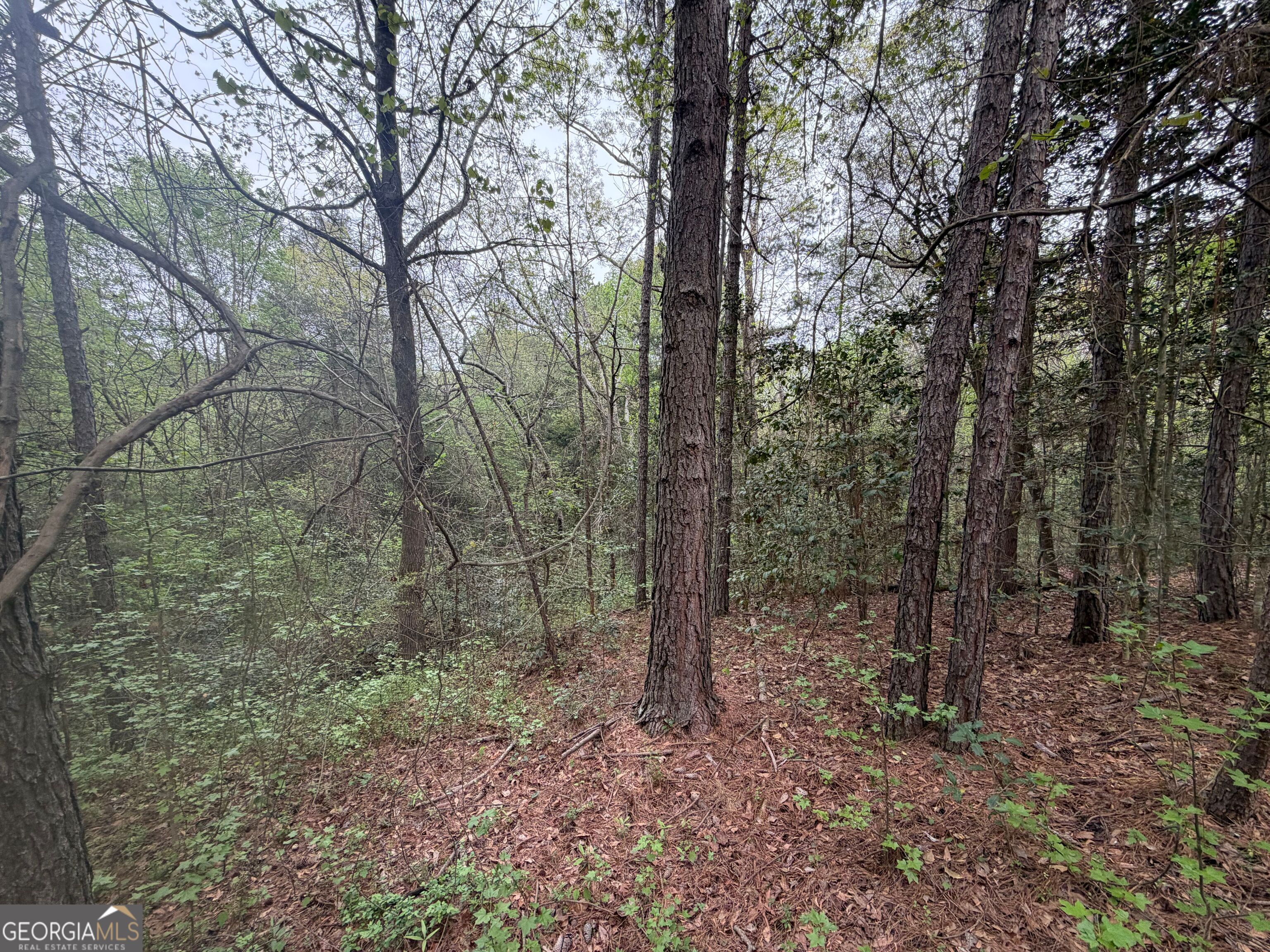 0 North County Line Road Alto, GA 30510 - Photo 19 of 45