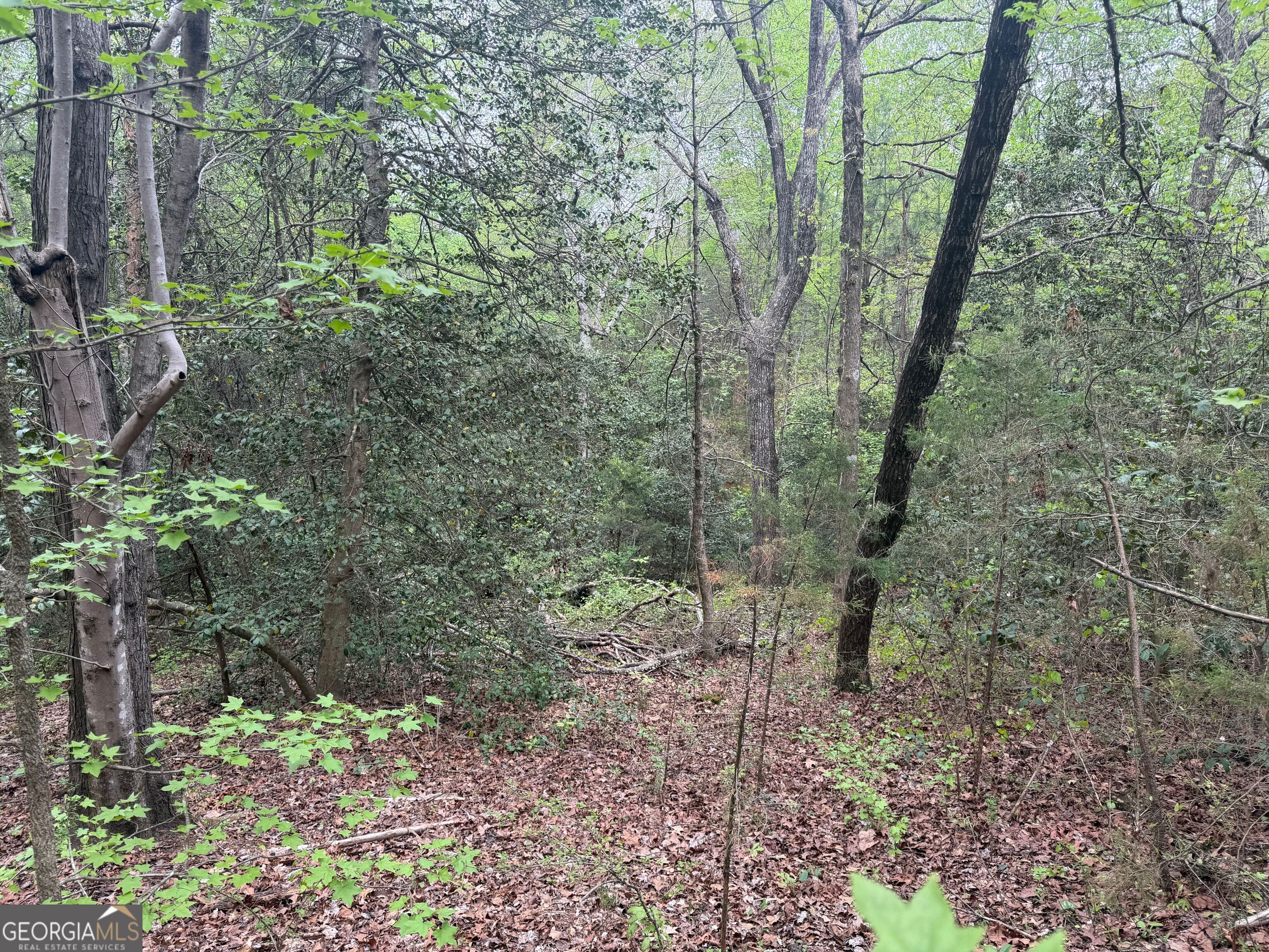 0 North County Line Road Alto, GA 30510 - Photo 20 of 45