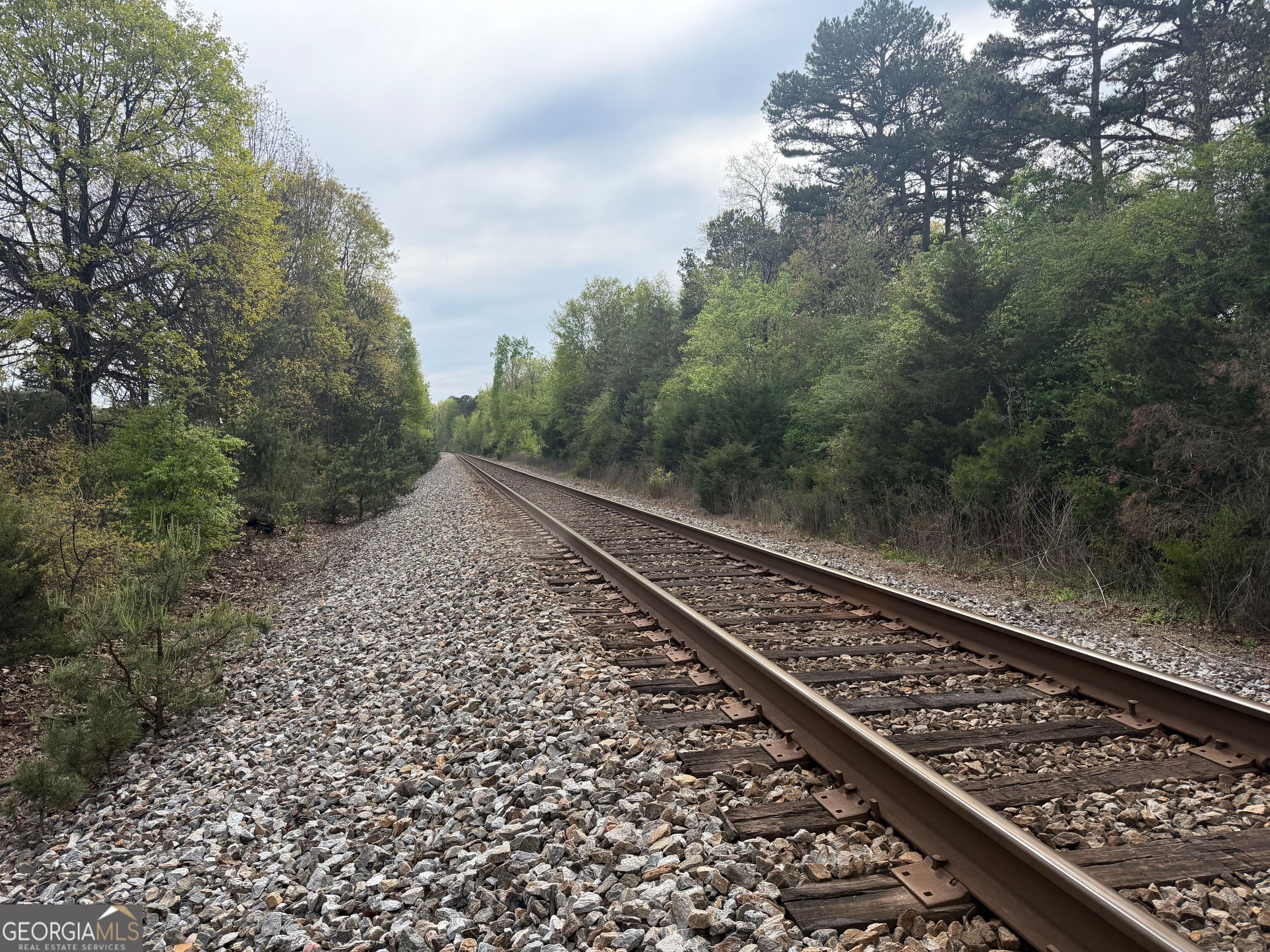 0 North County Line Road Alto, GA 30510 - Photo 2 of 45