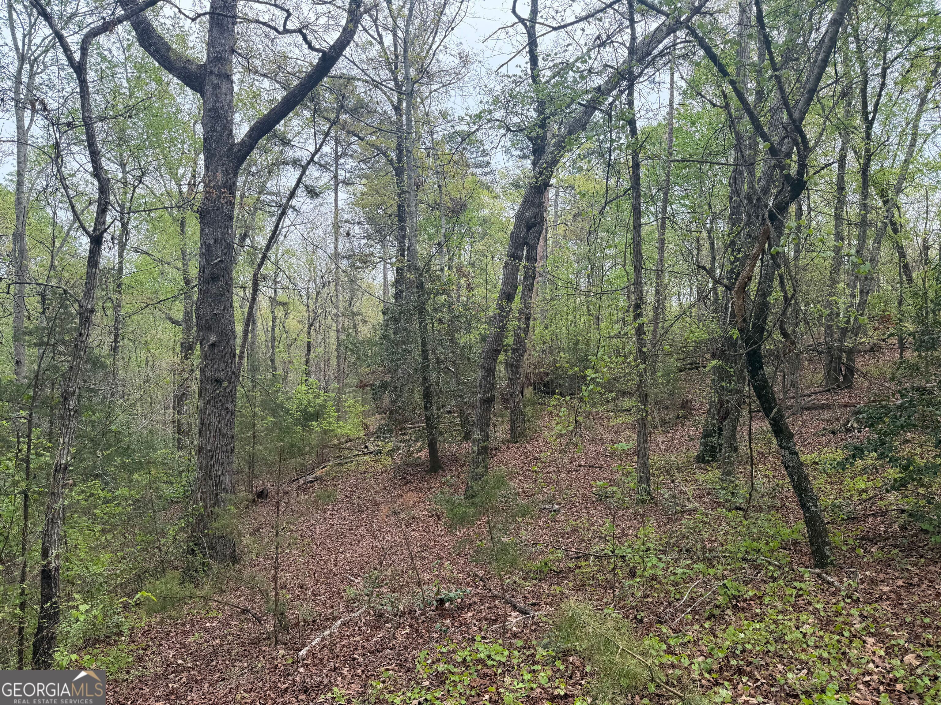 0 North County Line Road Alto, GA 30510 - Photo 21 of 45