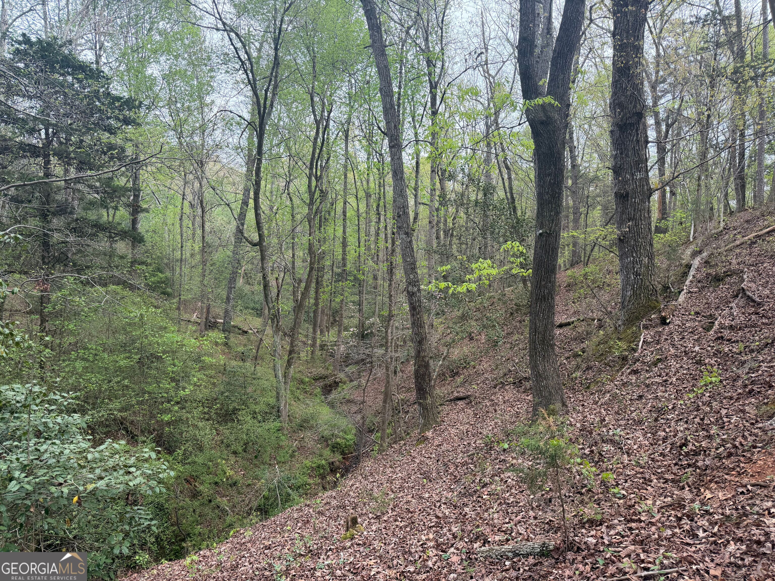 0 North County Line Road Alto, GA 30510 - Photo 22 of 45