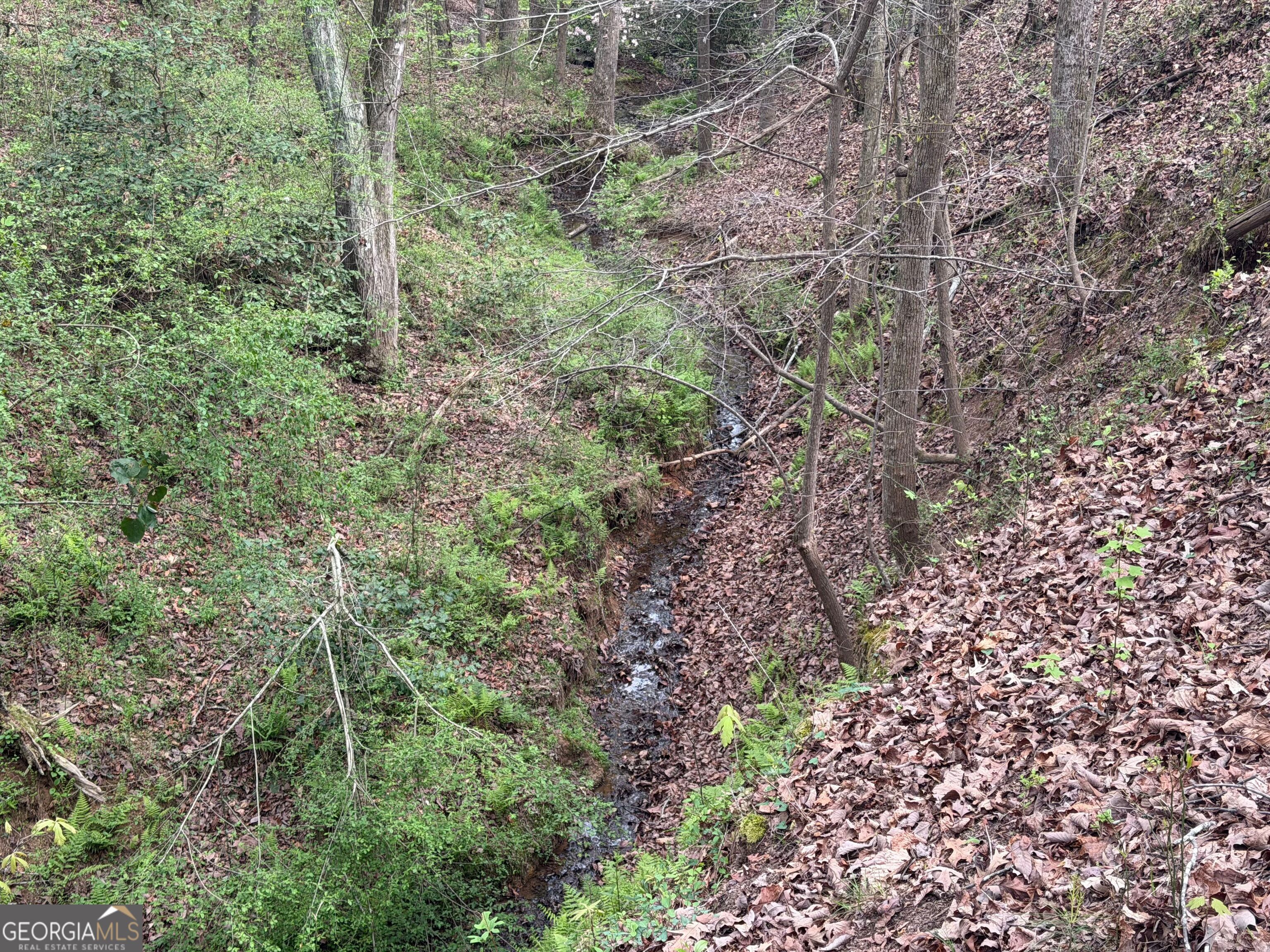 0 North County Line Road Alto, GA 30510 - Photo 23 of 45