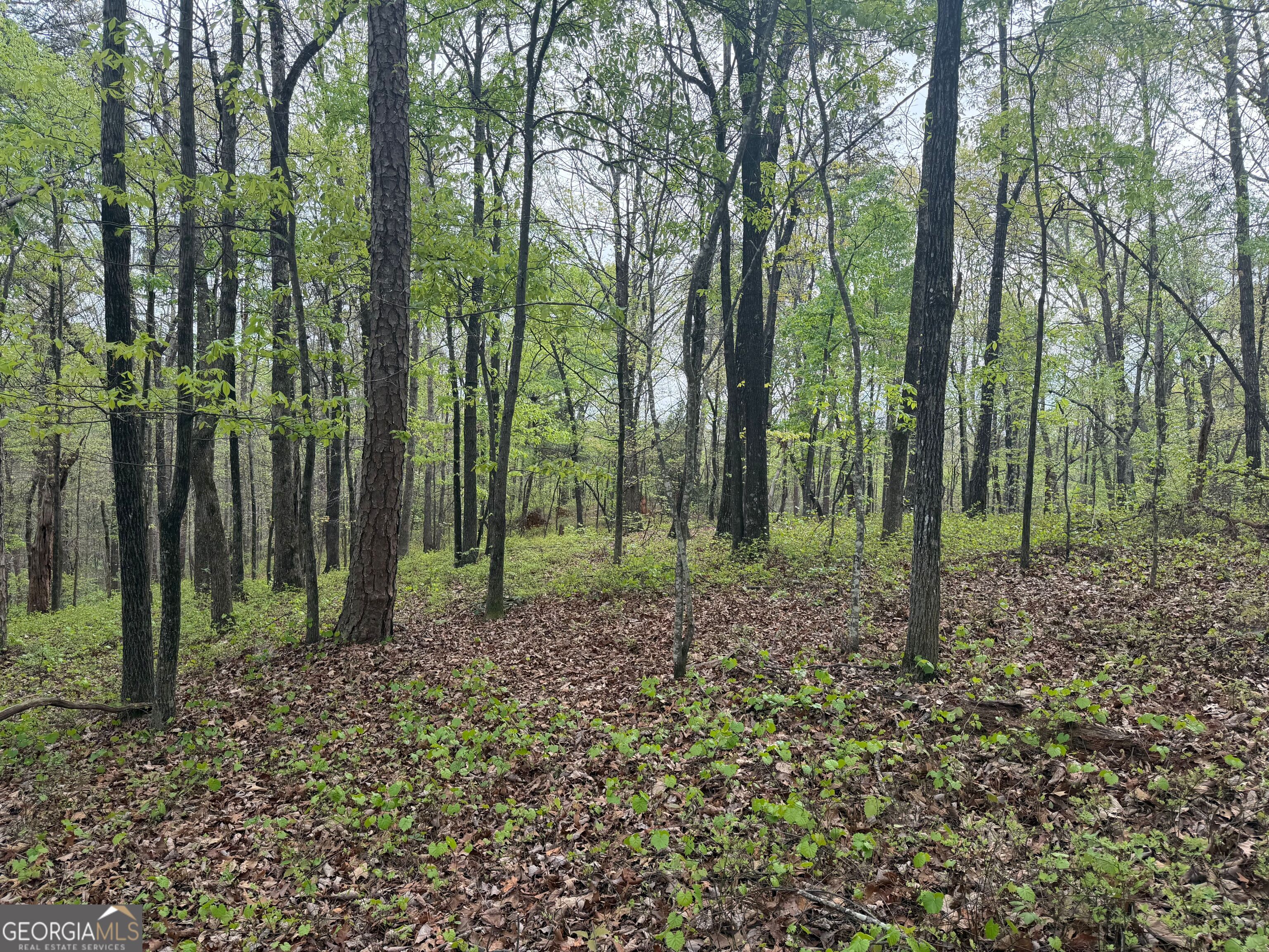 0 North County Line Road Alto, GA 30510 - Photo 25 of 45