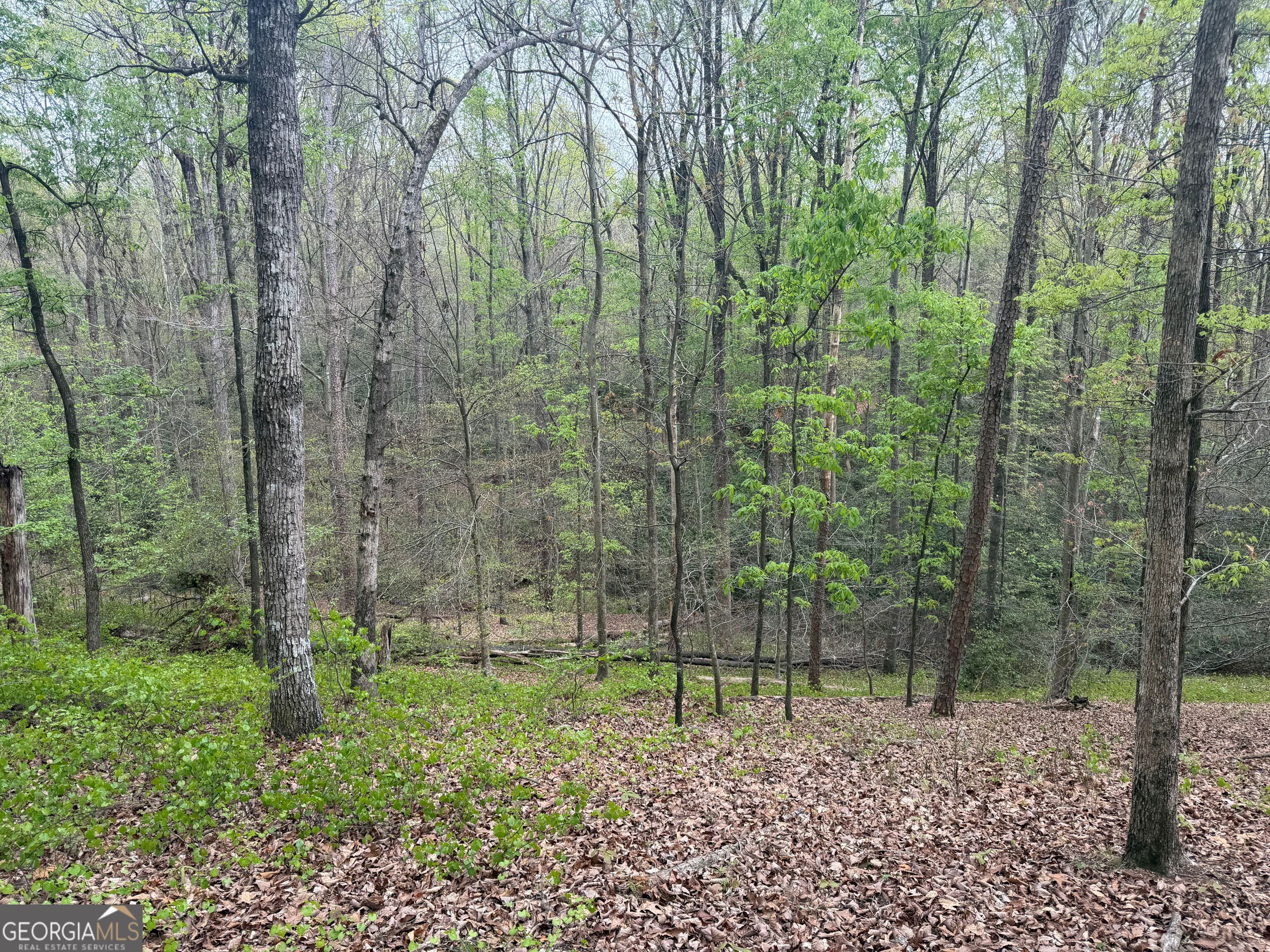 0 North County Line Road Alto, GA 30510 - Photo 26 of 45