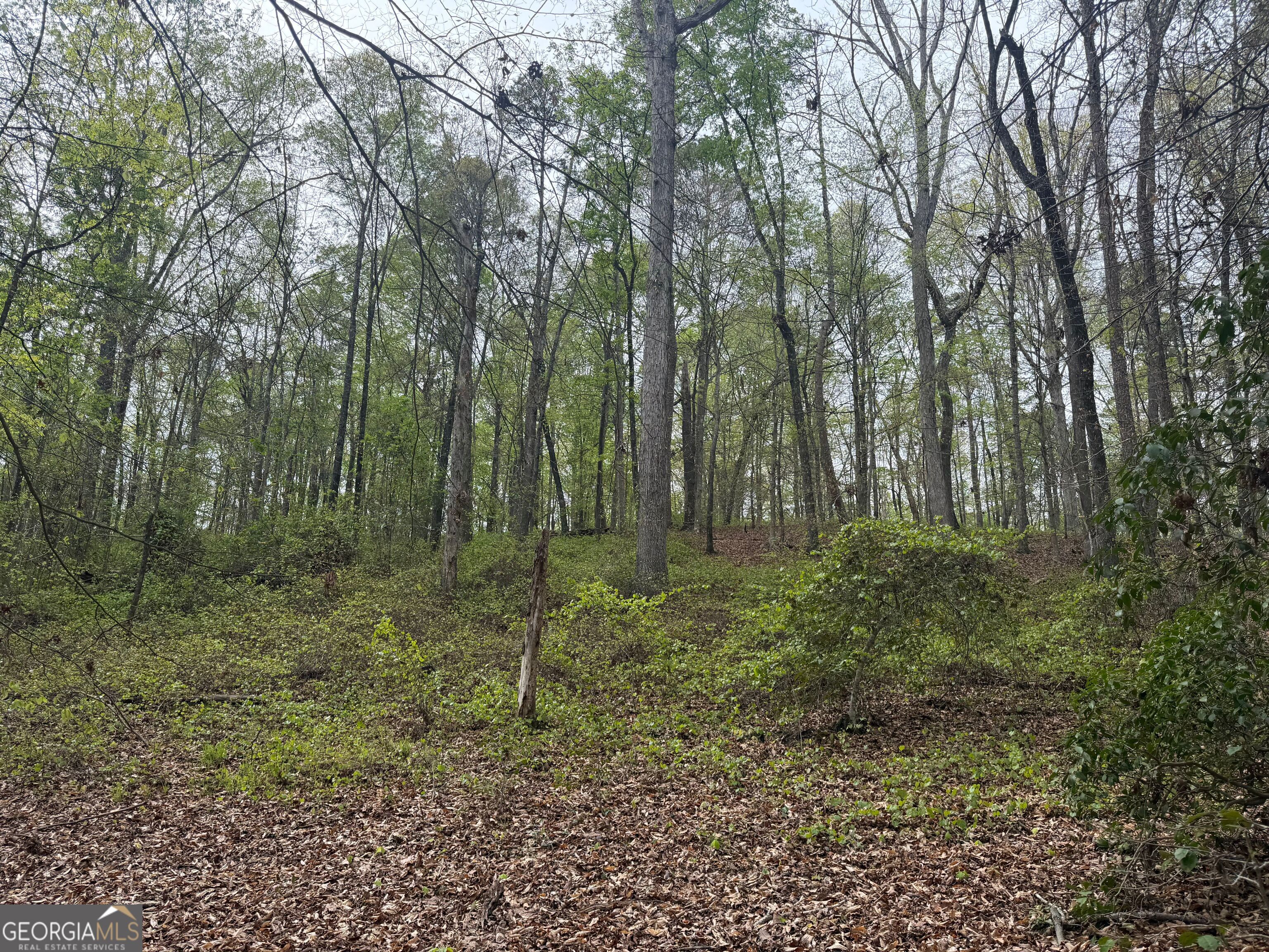 0 North County Line Road Alto, GA 30510 - Photo 27 of 45