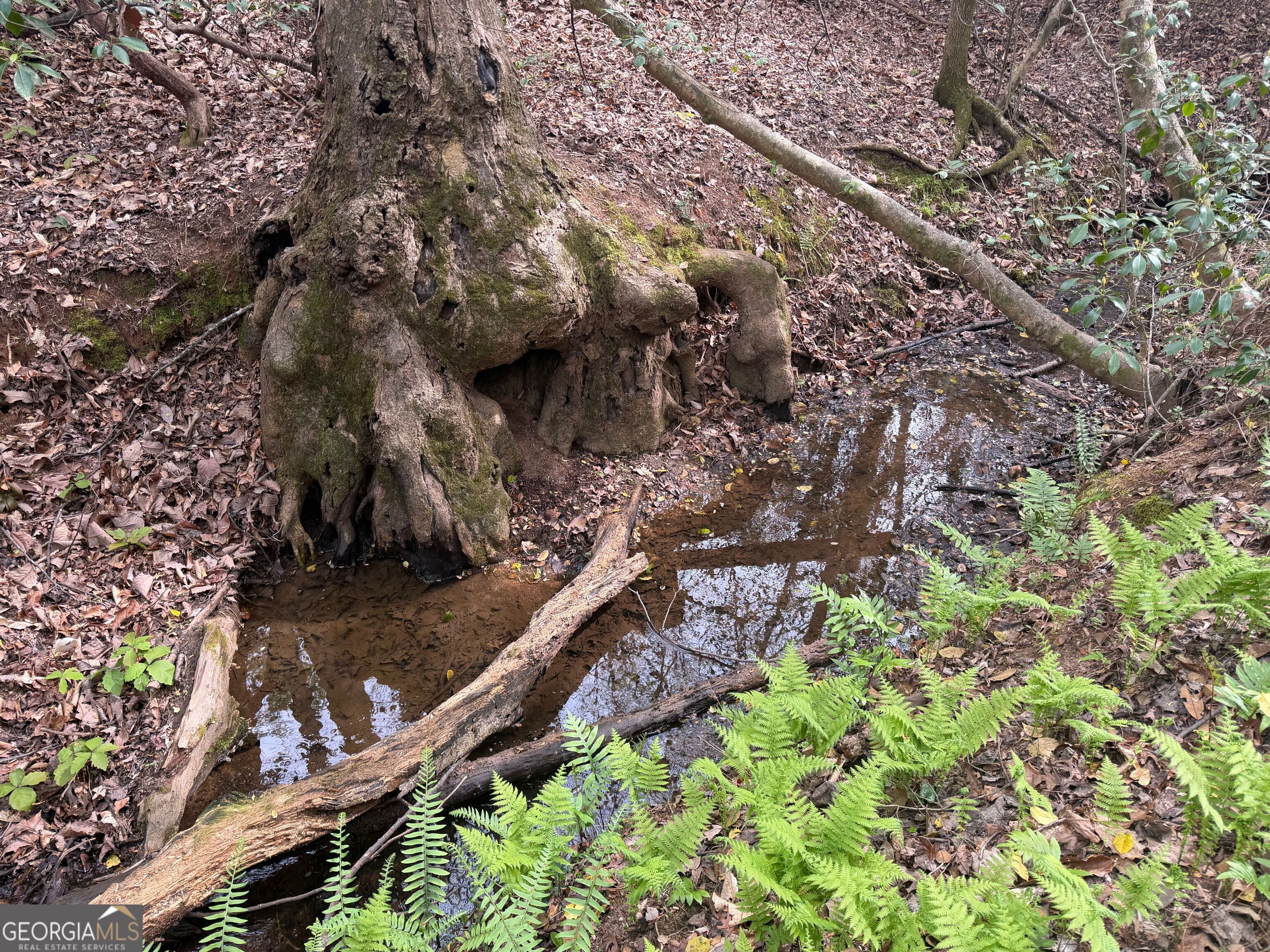 0 North County Line Road Alto, GA 30510 - Photo 28 of 45