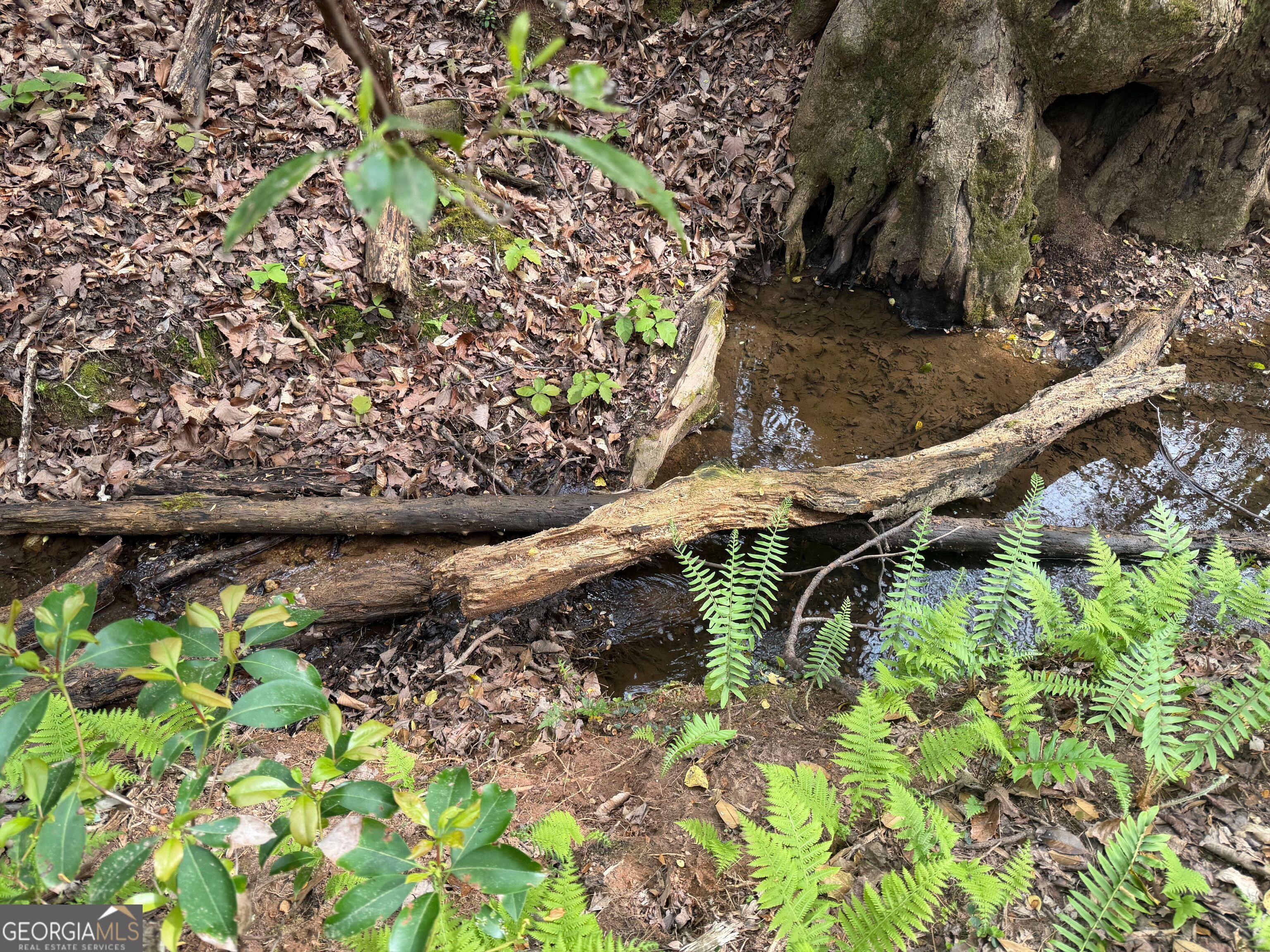 0 North County Line Road Alto, GA 30510 - Photo 29 of 45