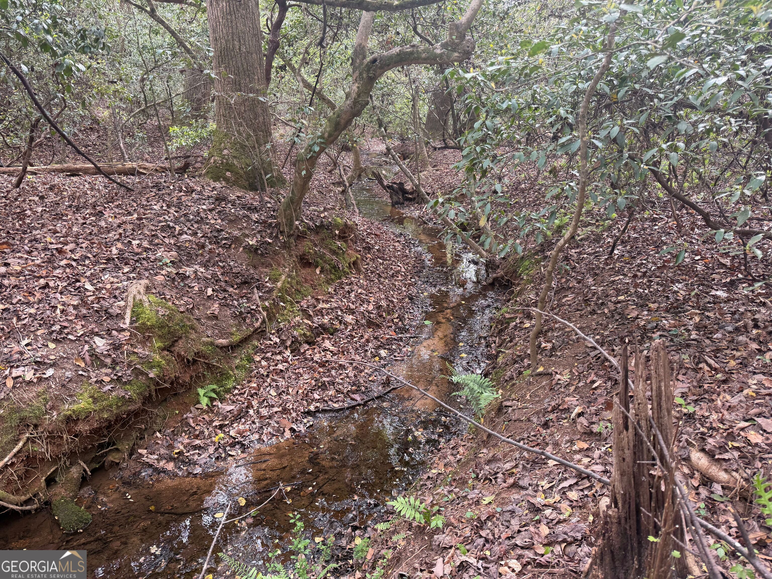 0 North County Line Road Alto, GA 30510 - Photo 30 of 45